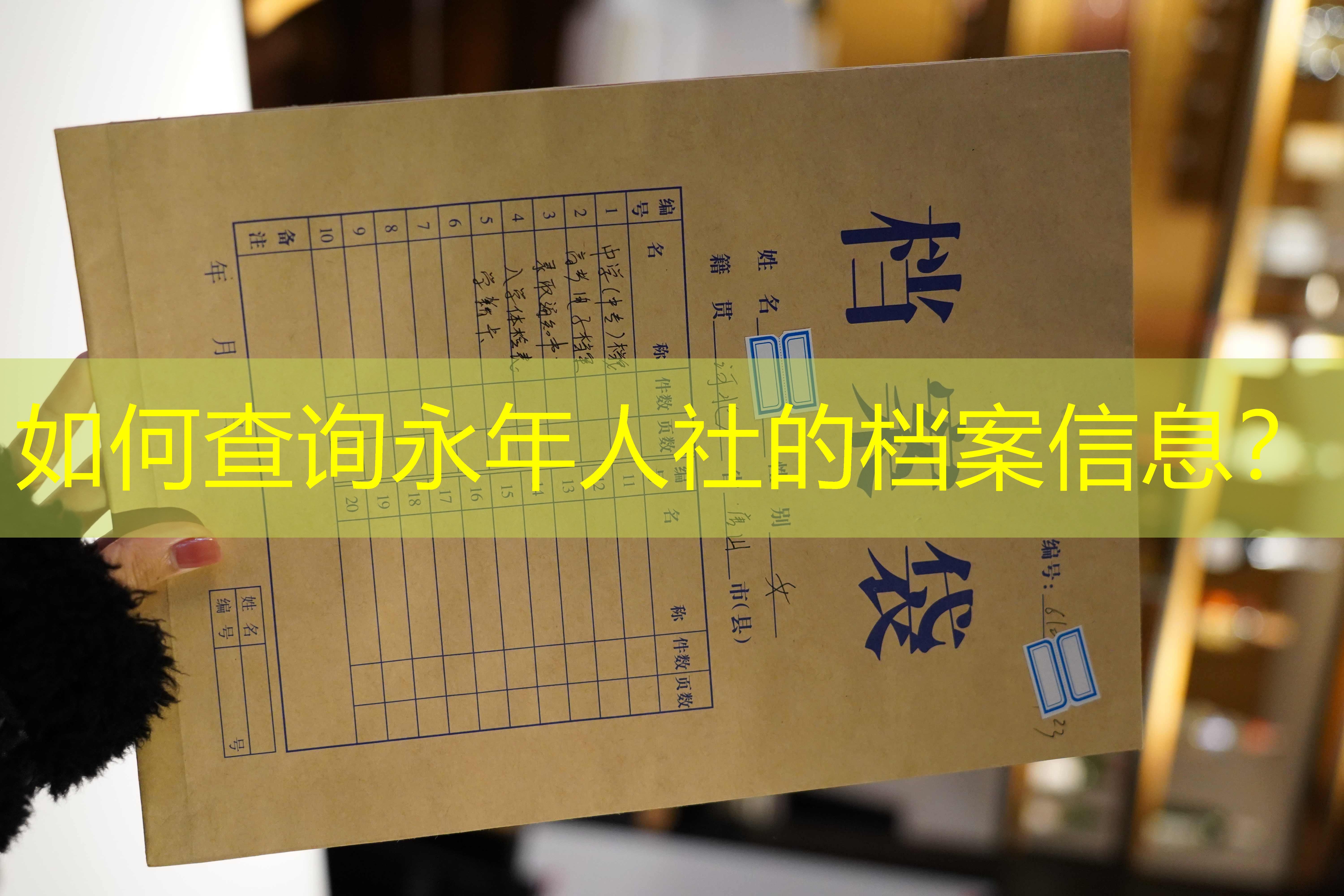 档案查询