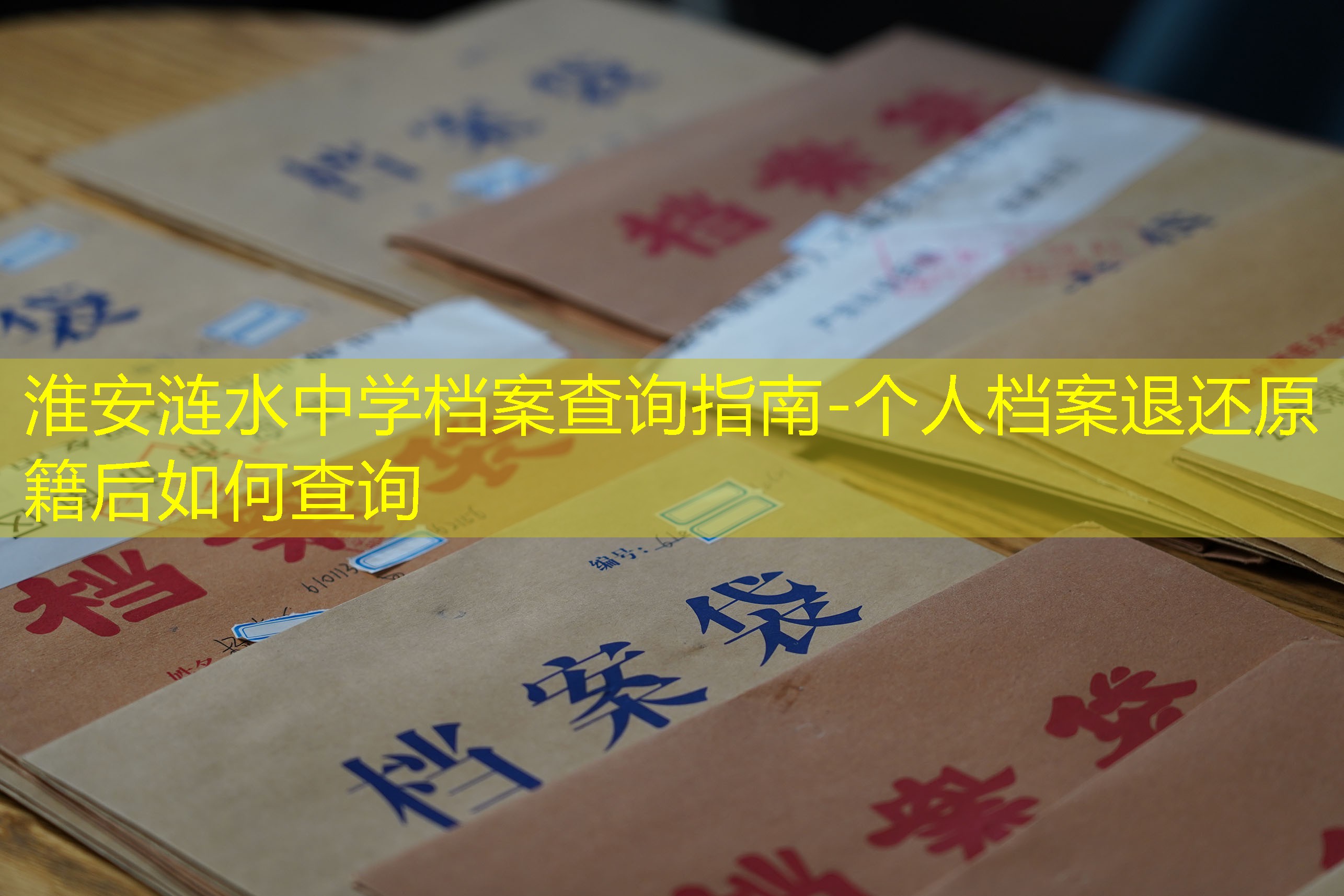 档案查询