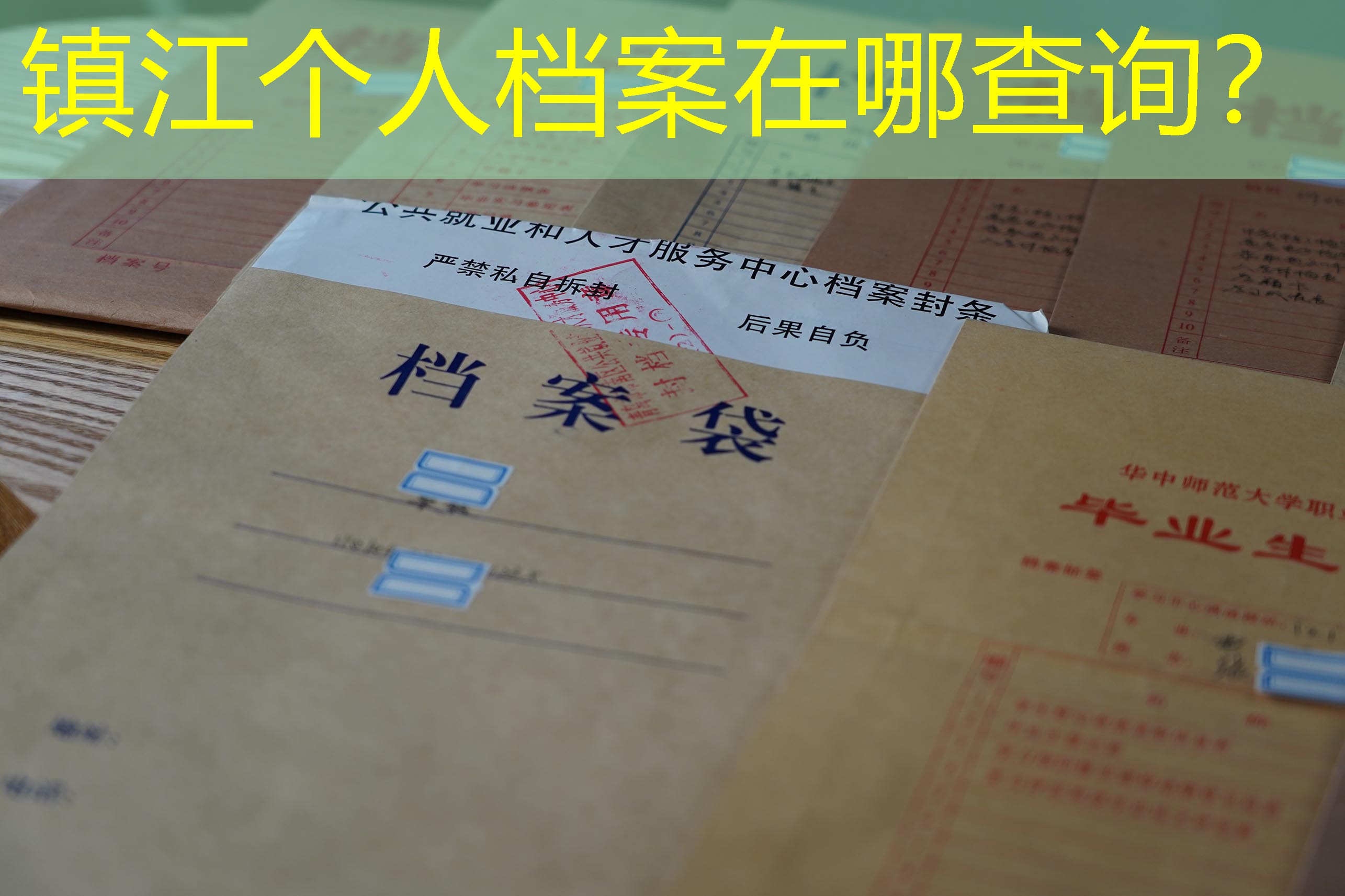 档案查询