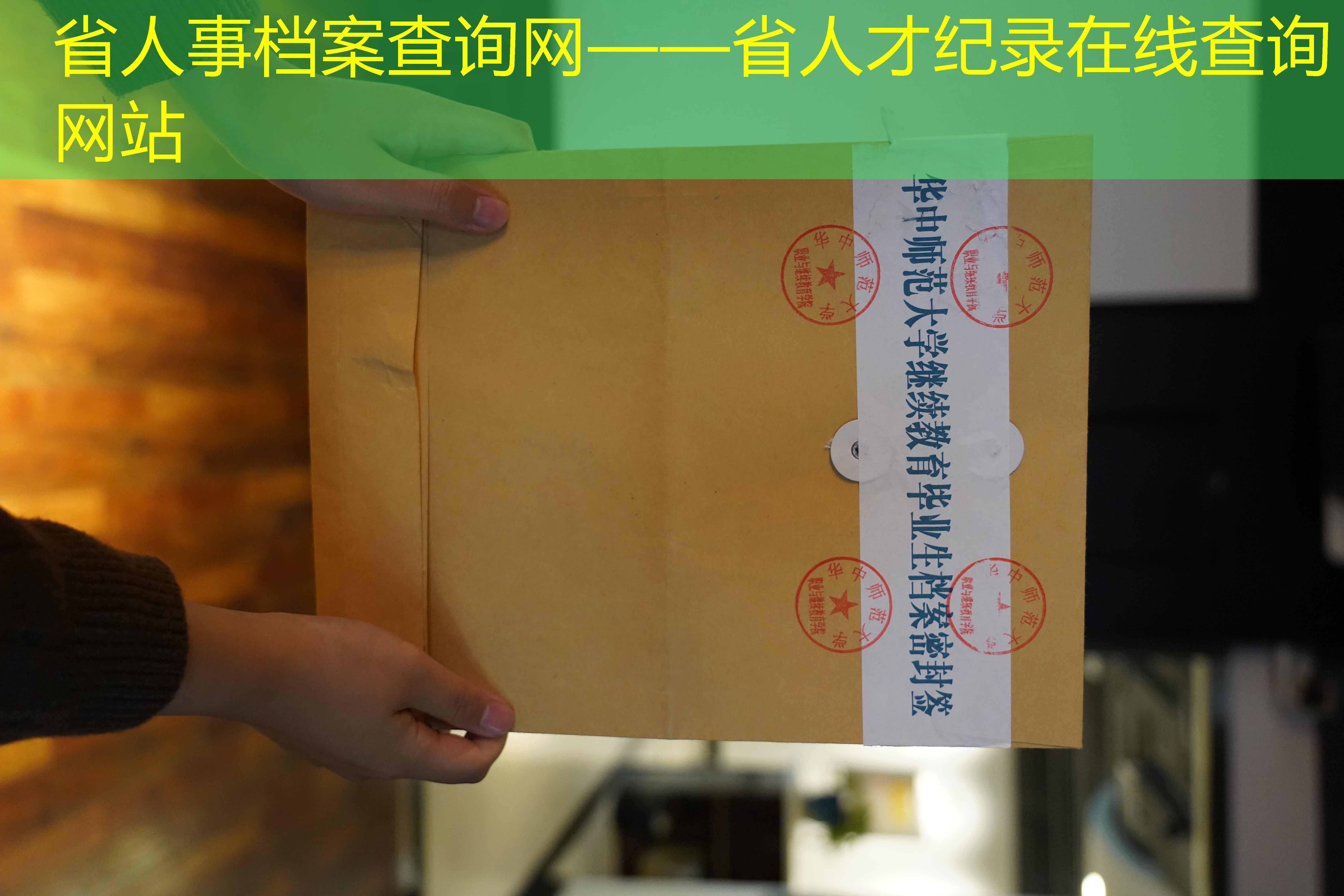 档案查询