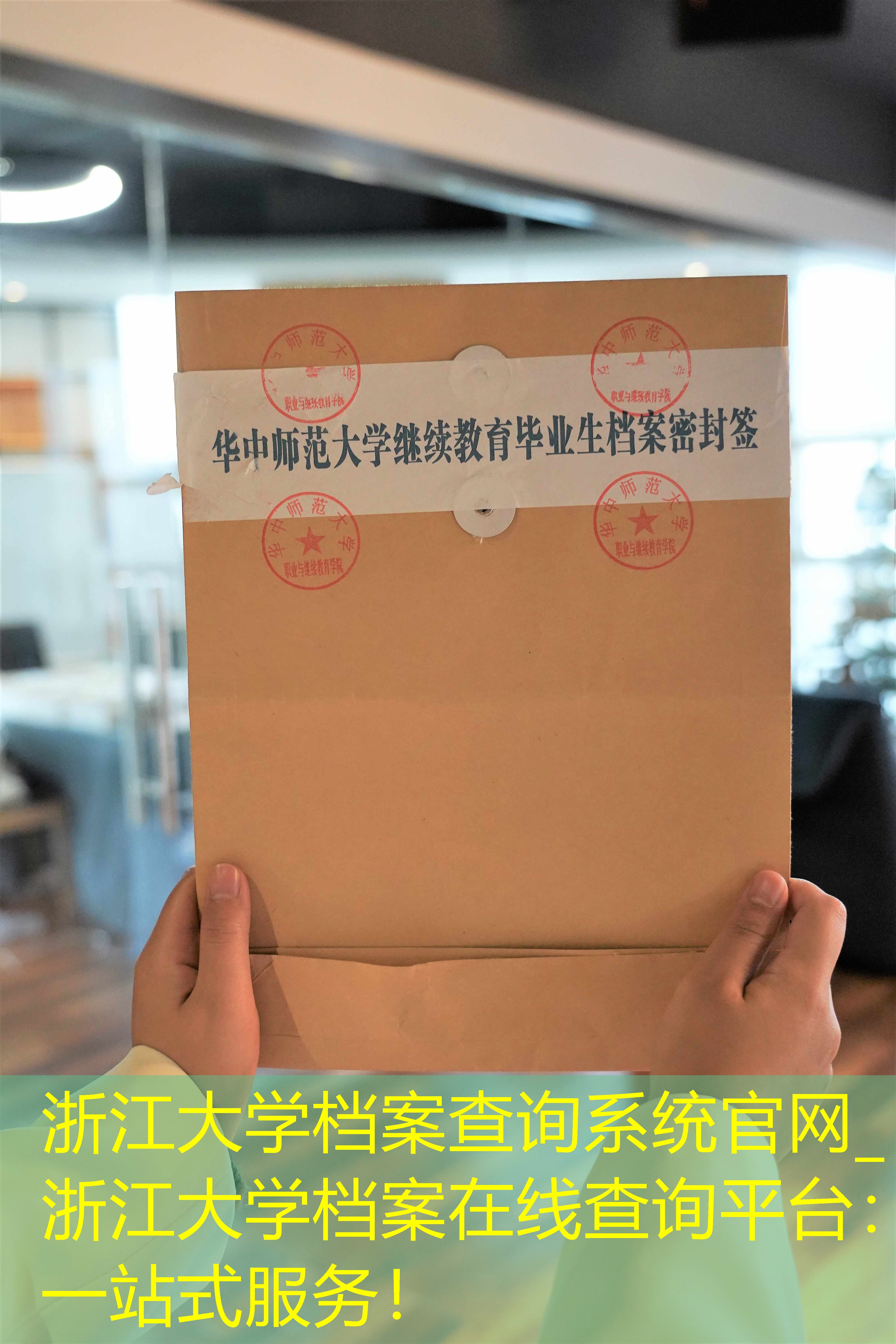 档案查询