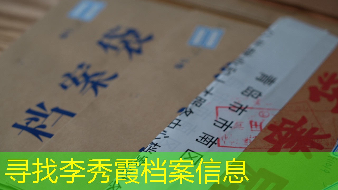 档案查询