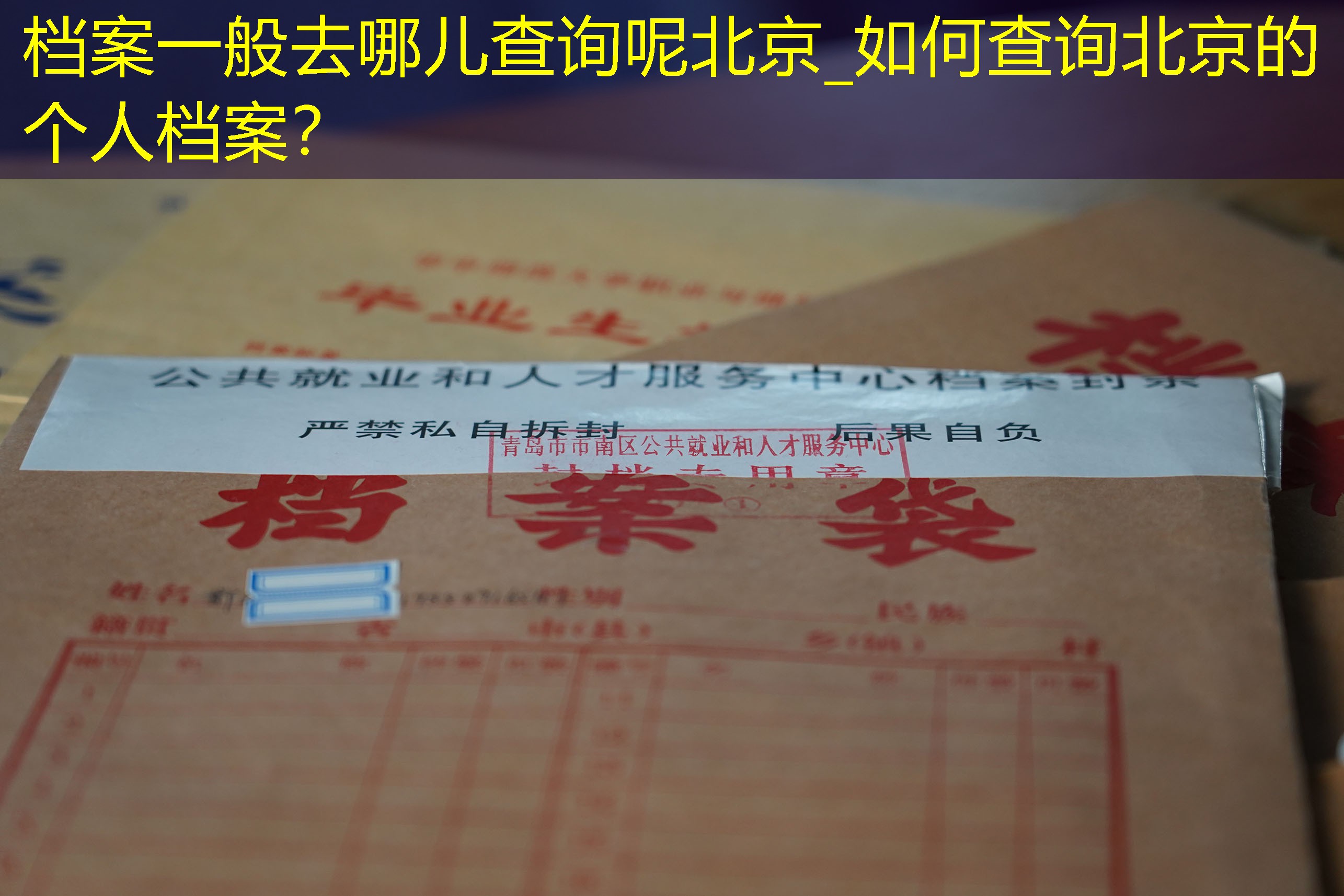 档案查询