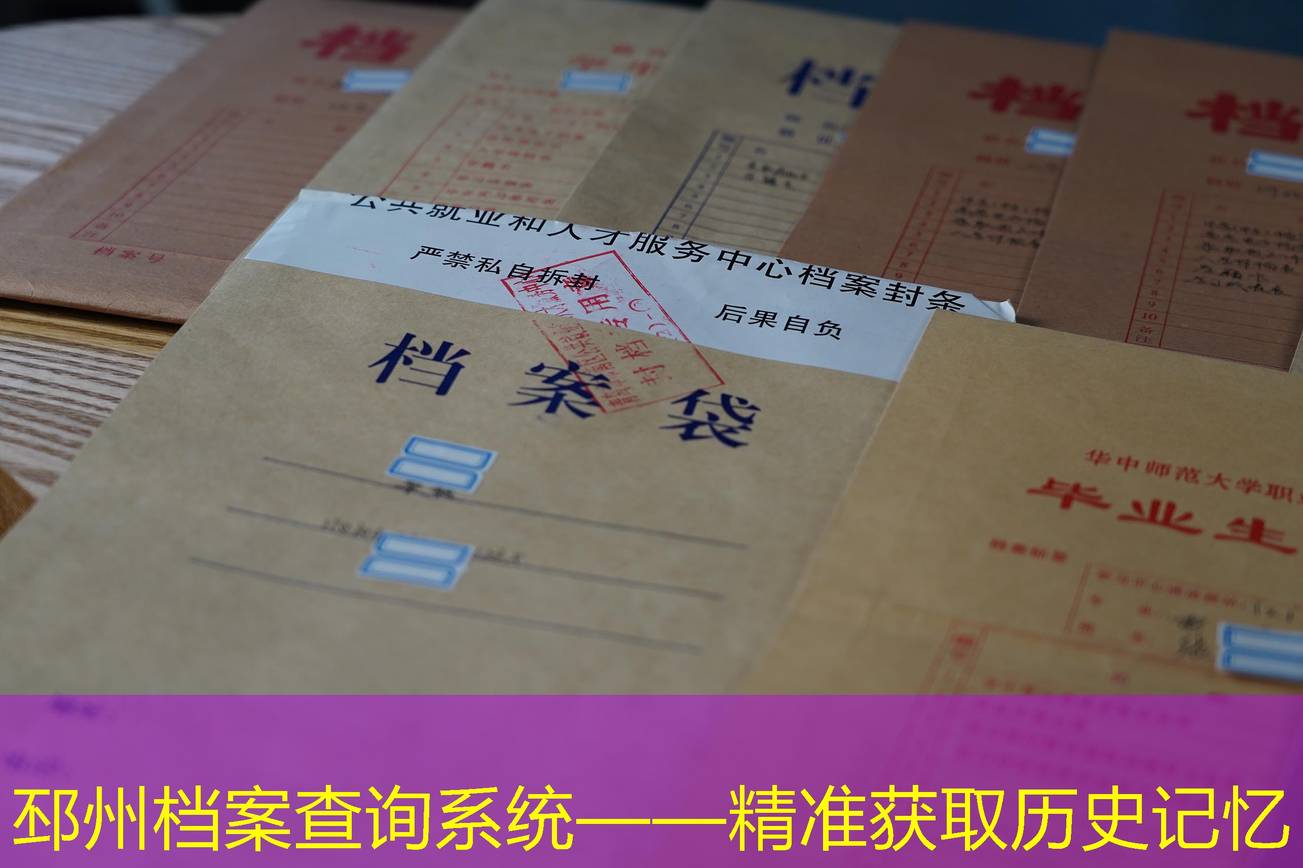 档案查询