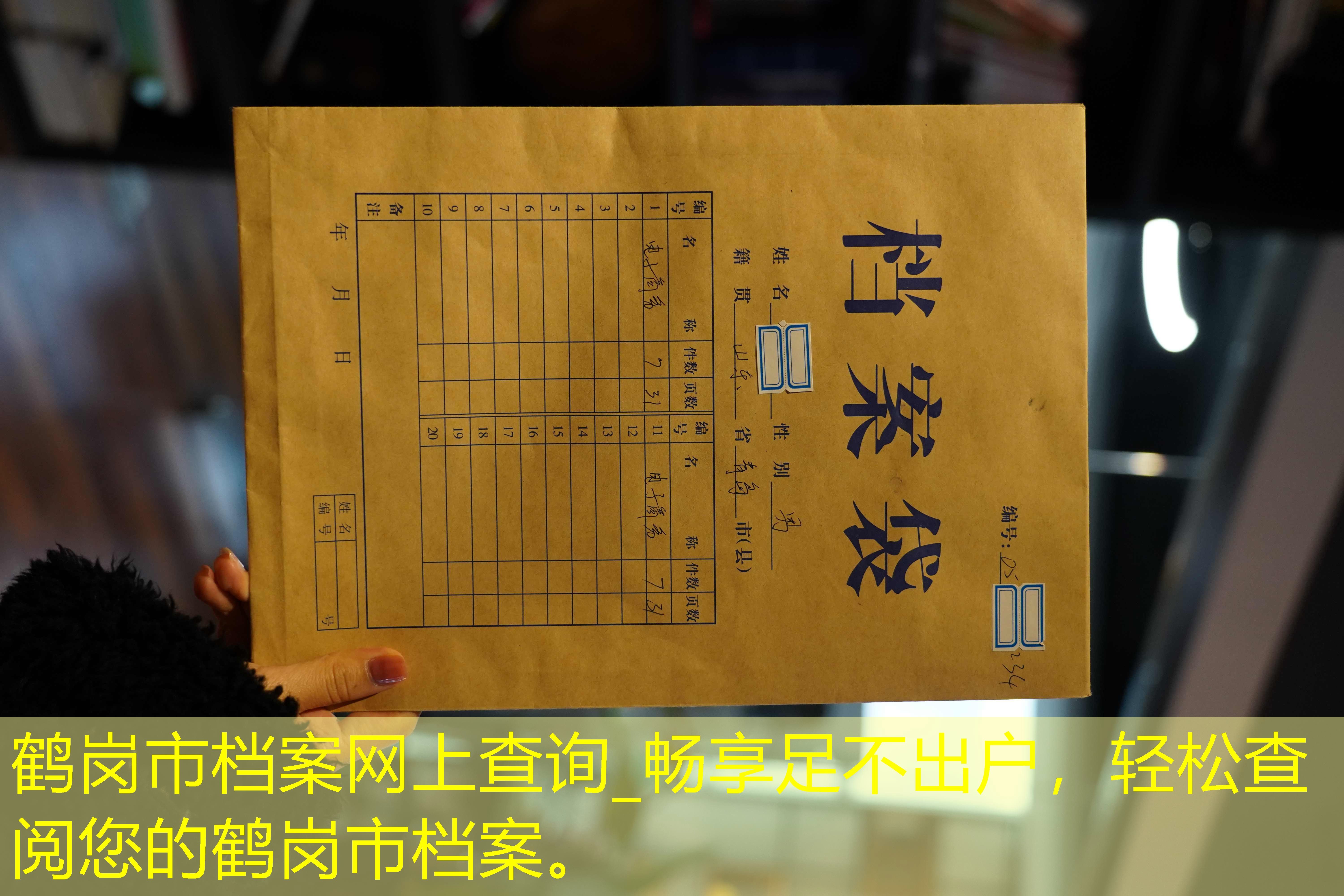 档案查询