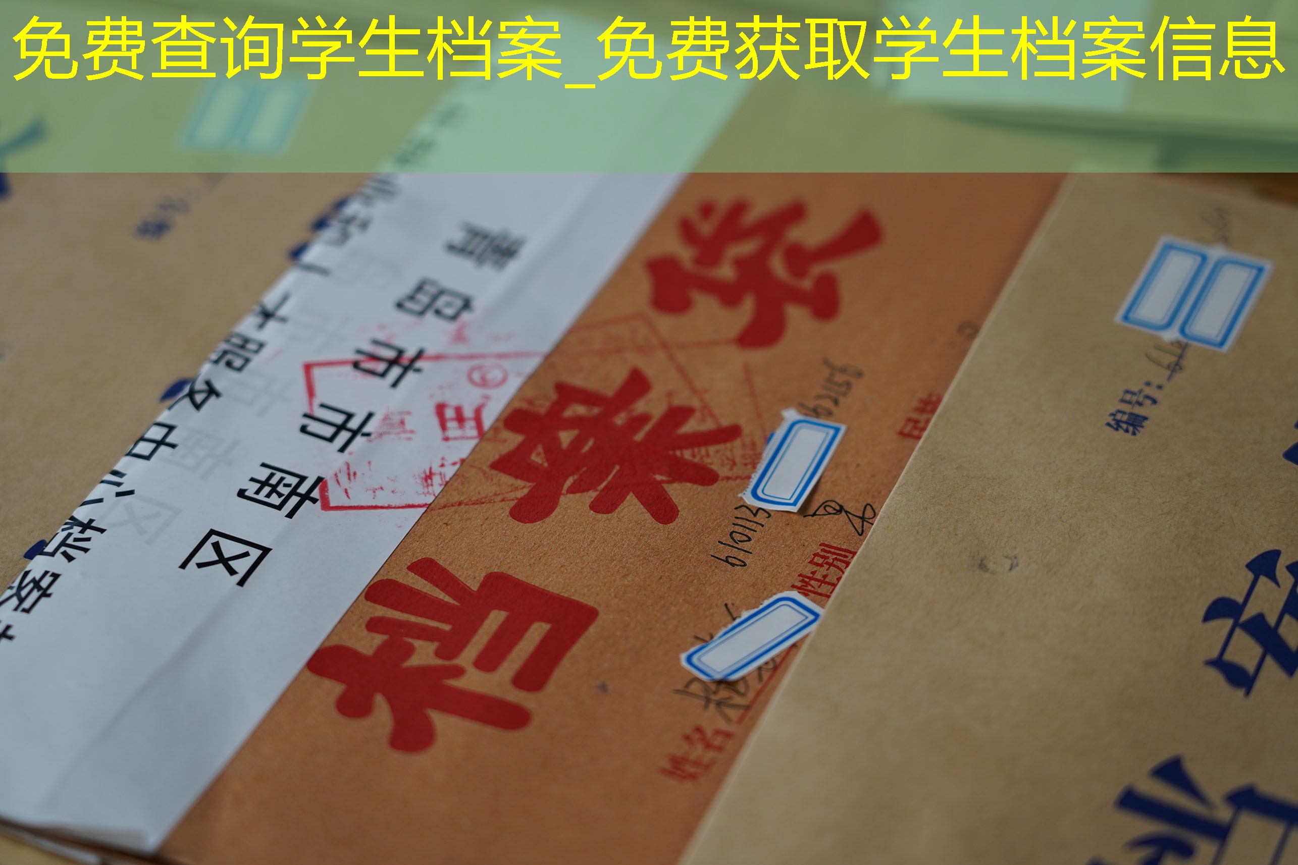 档案查询