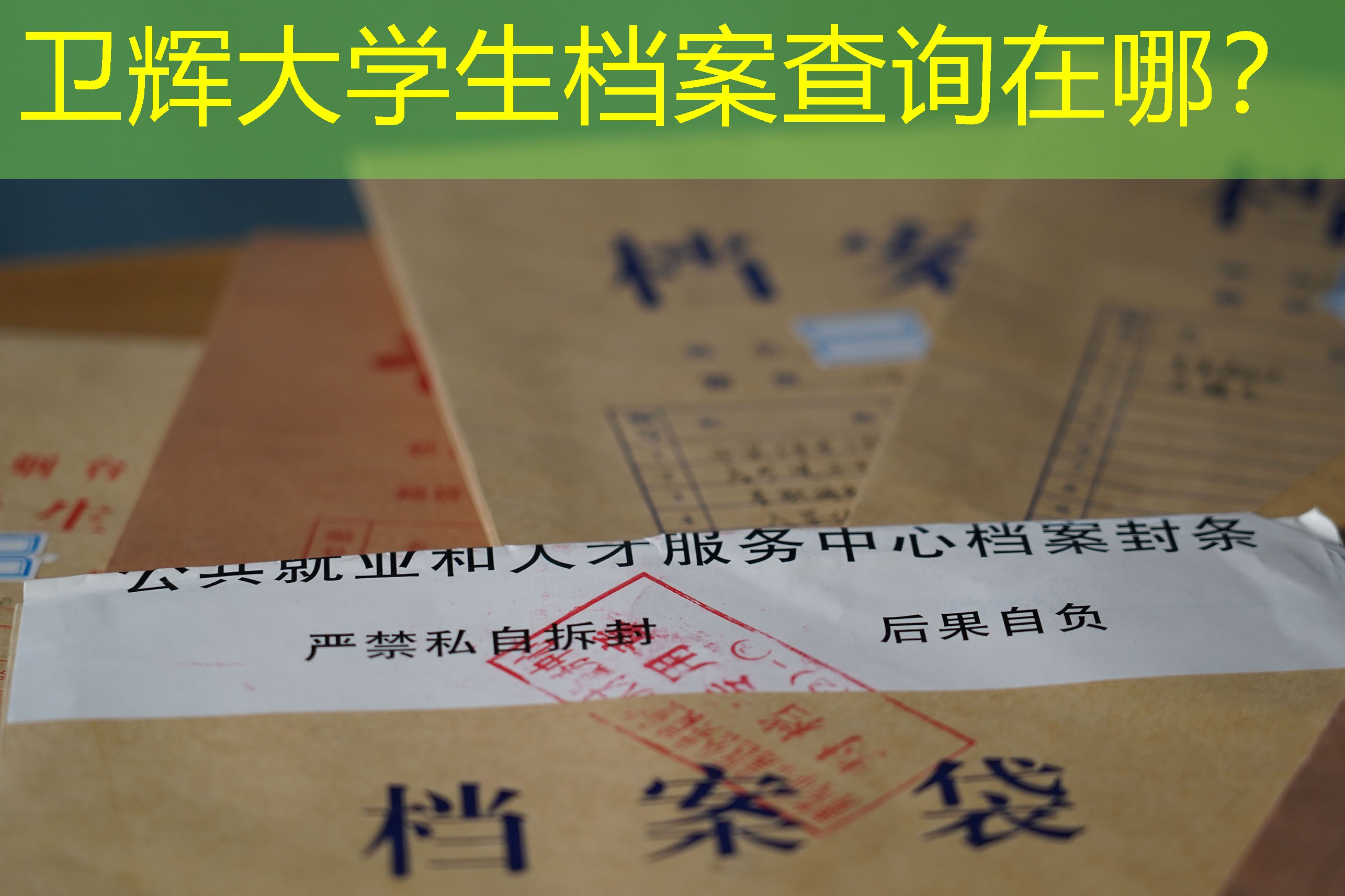 档案查询