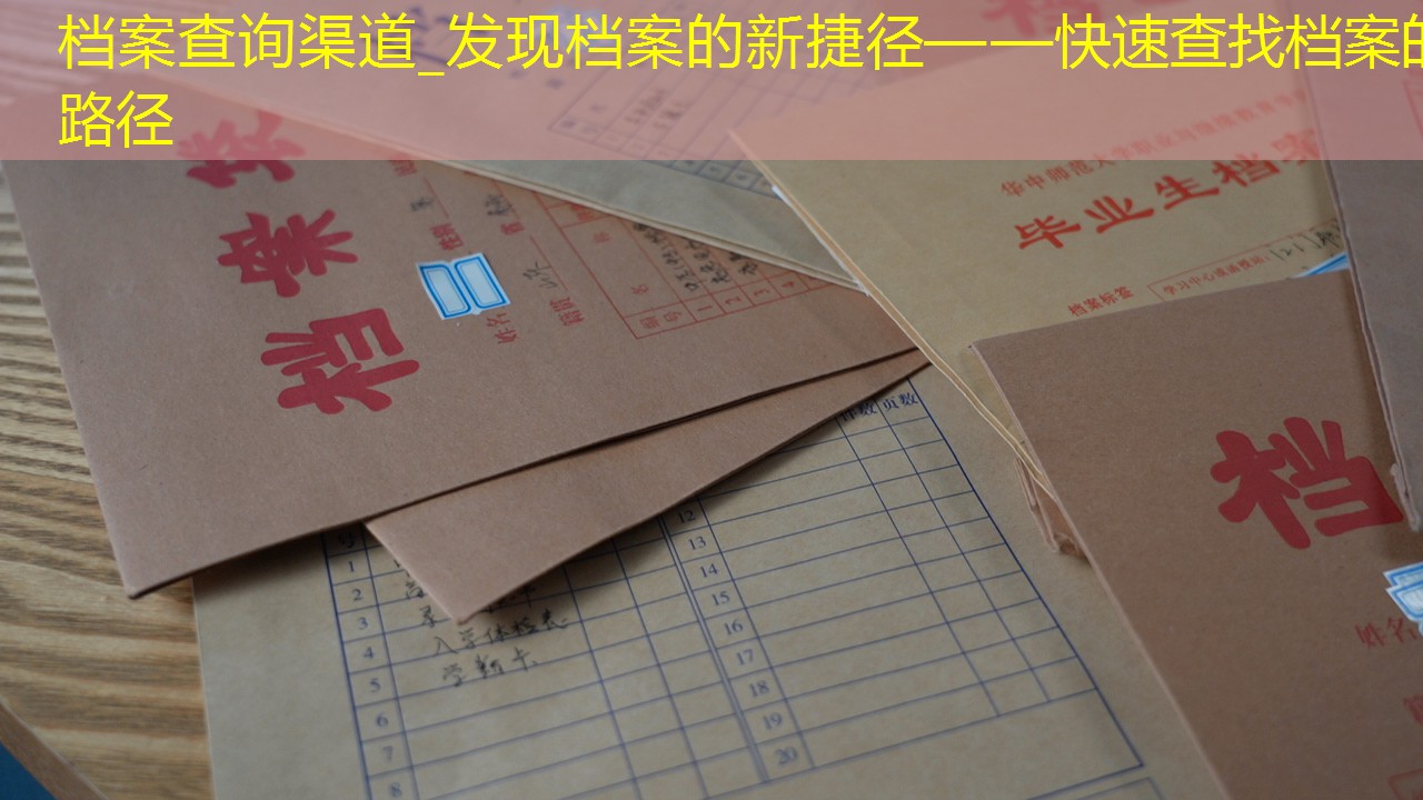 档案查询