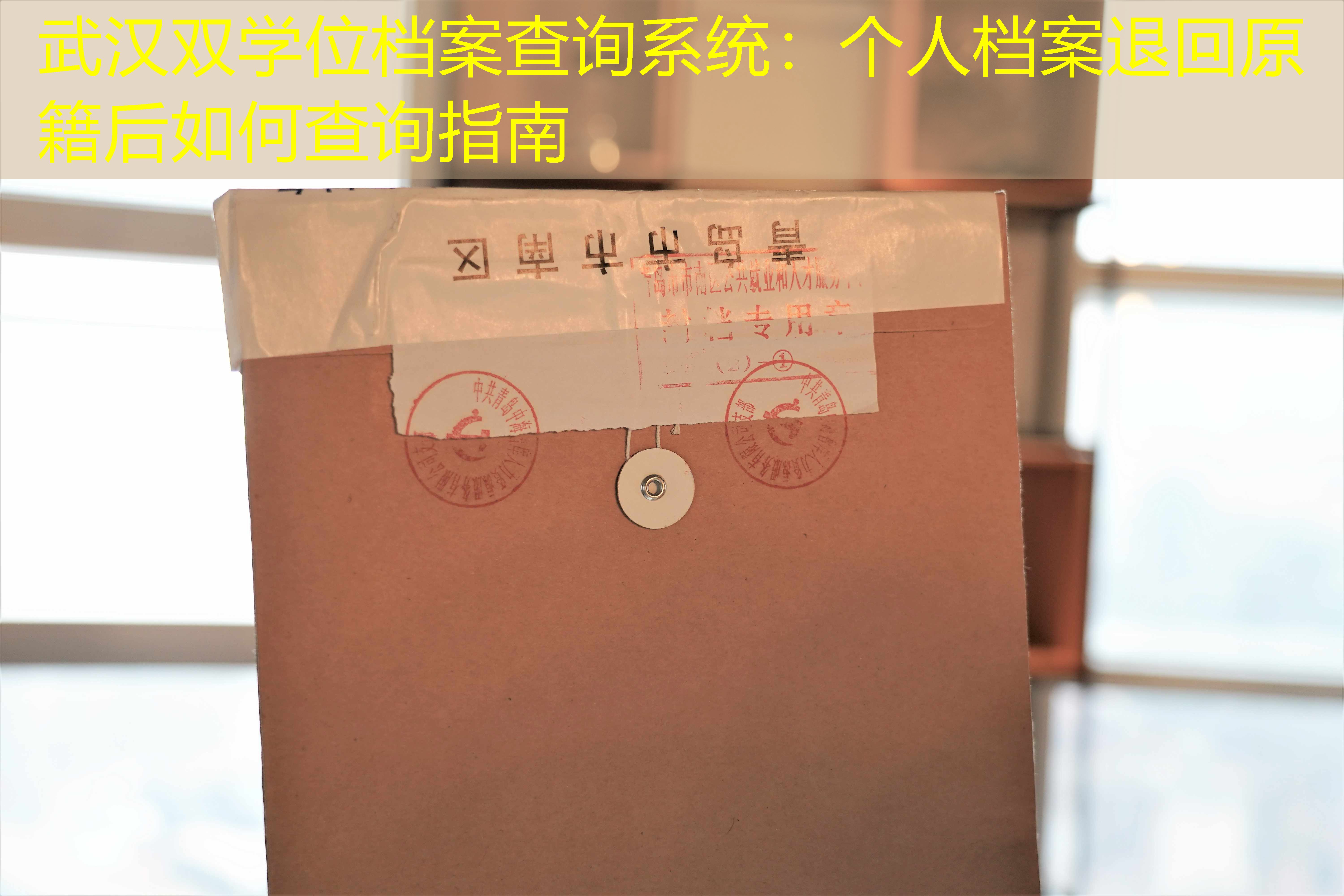 档案查询