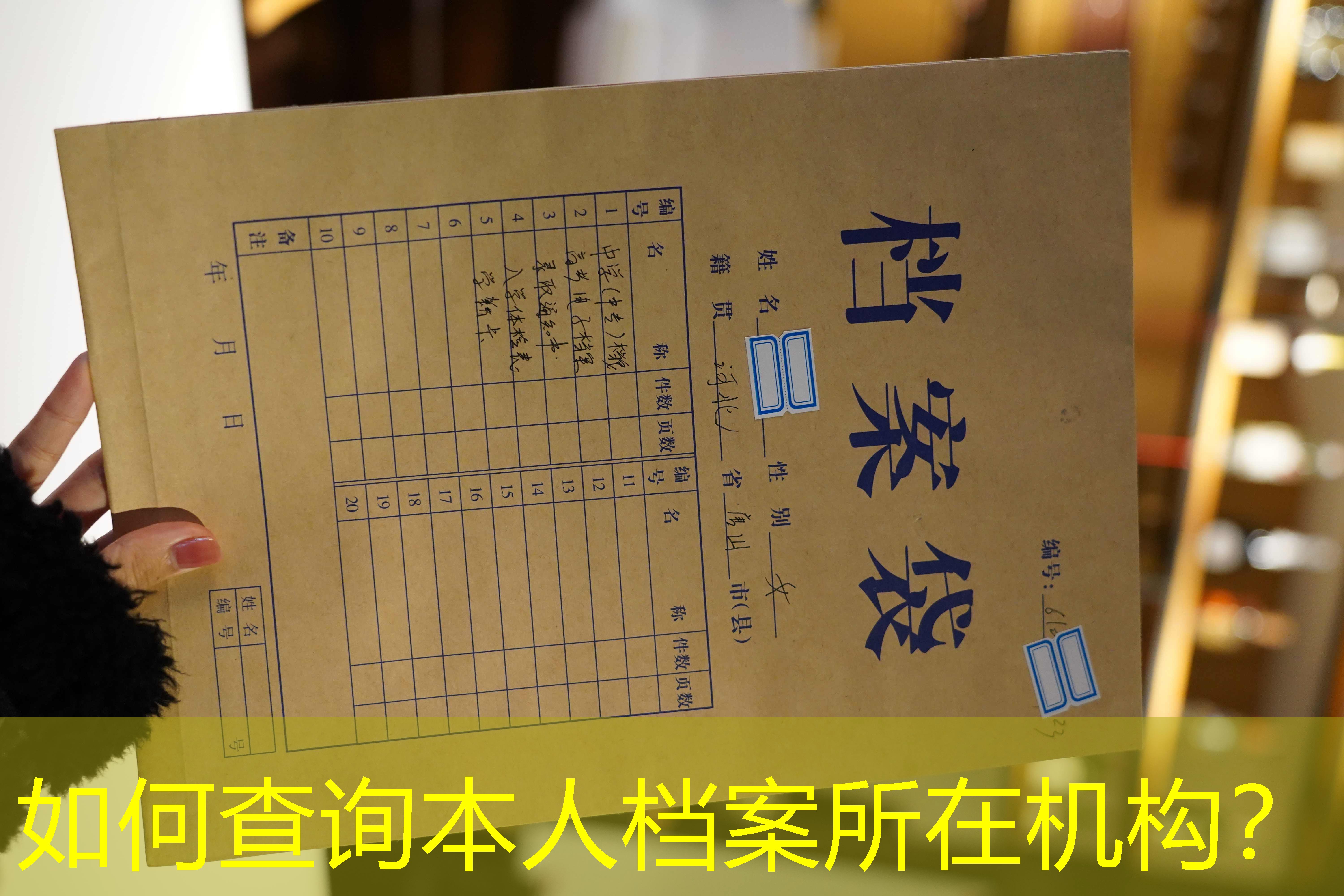 档案查询