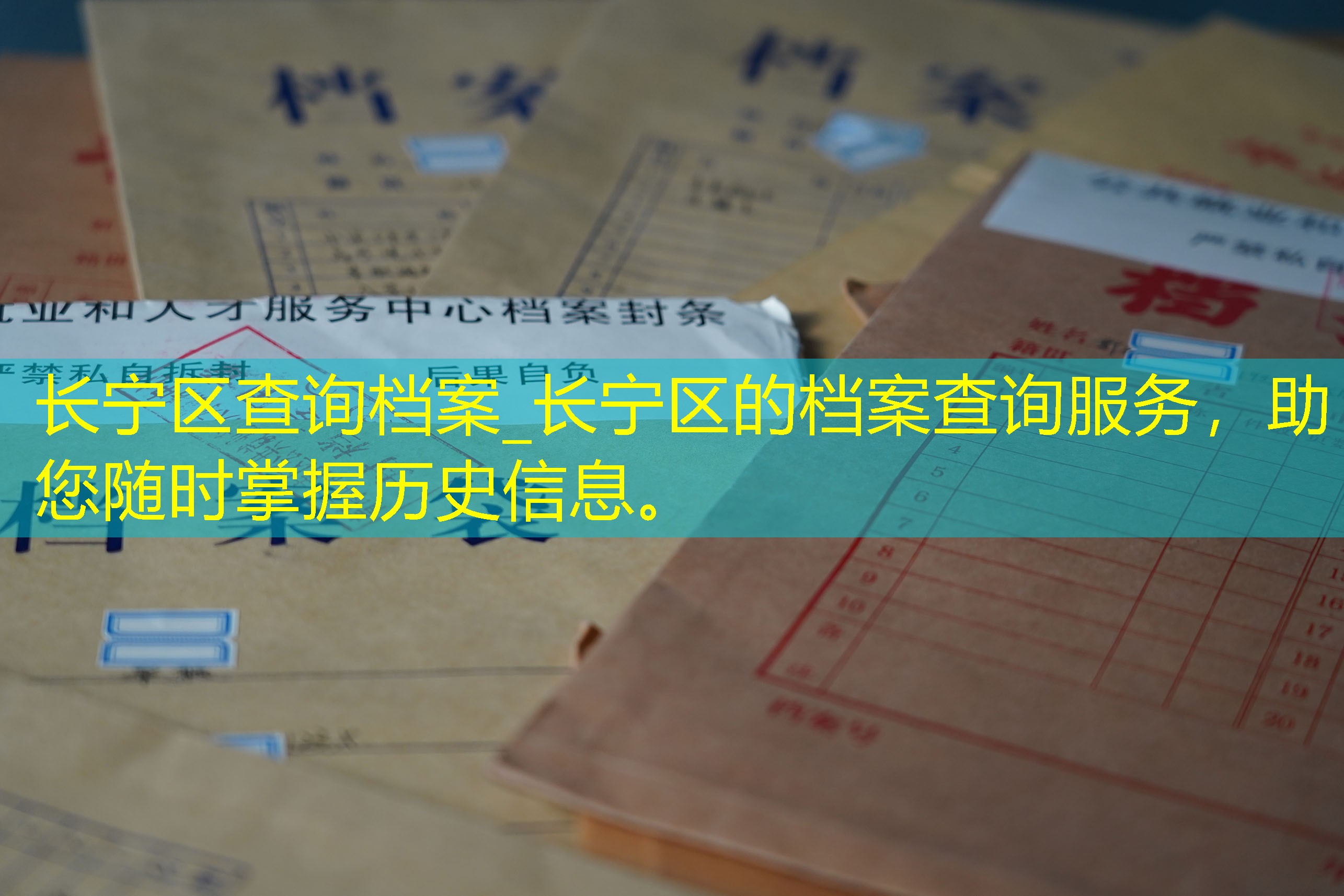 档案查询