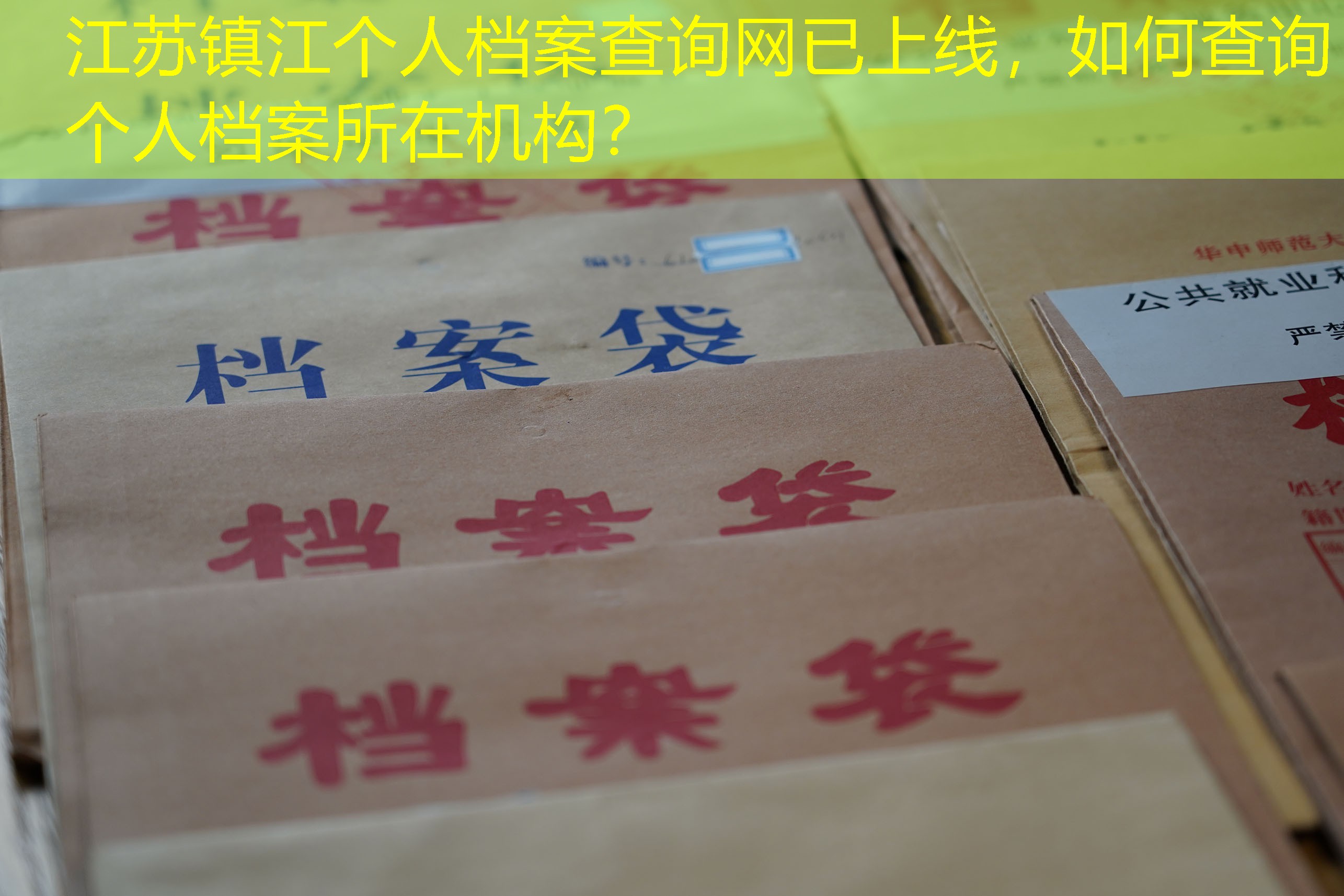 档案查询