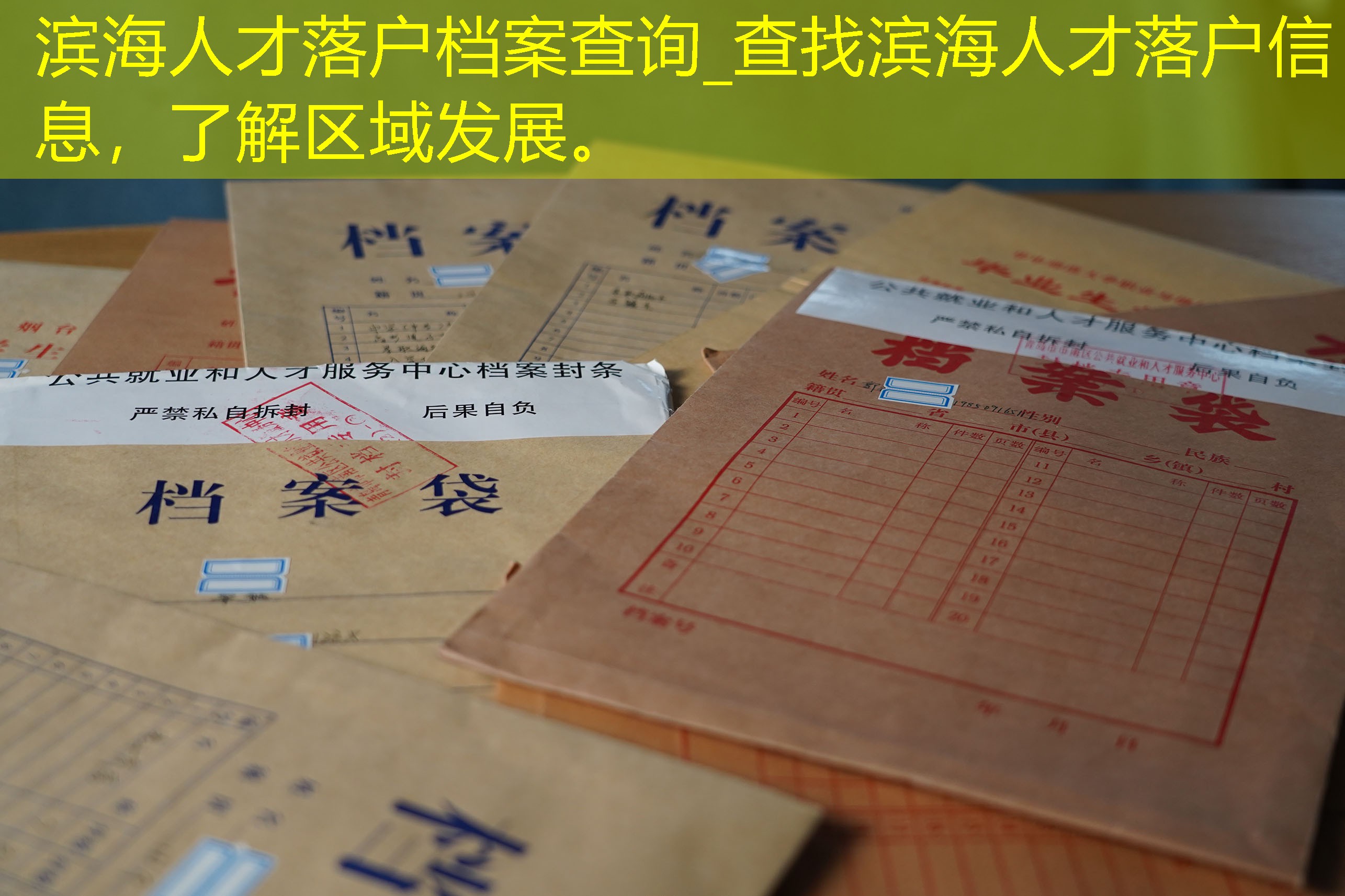 档案查询