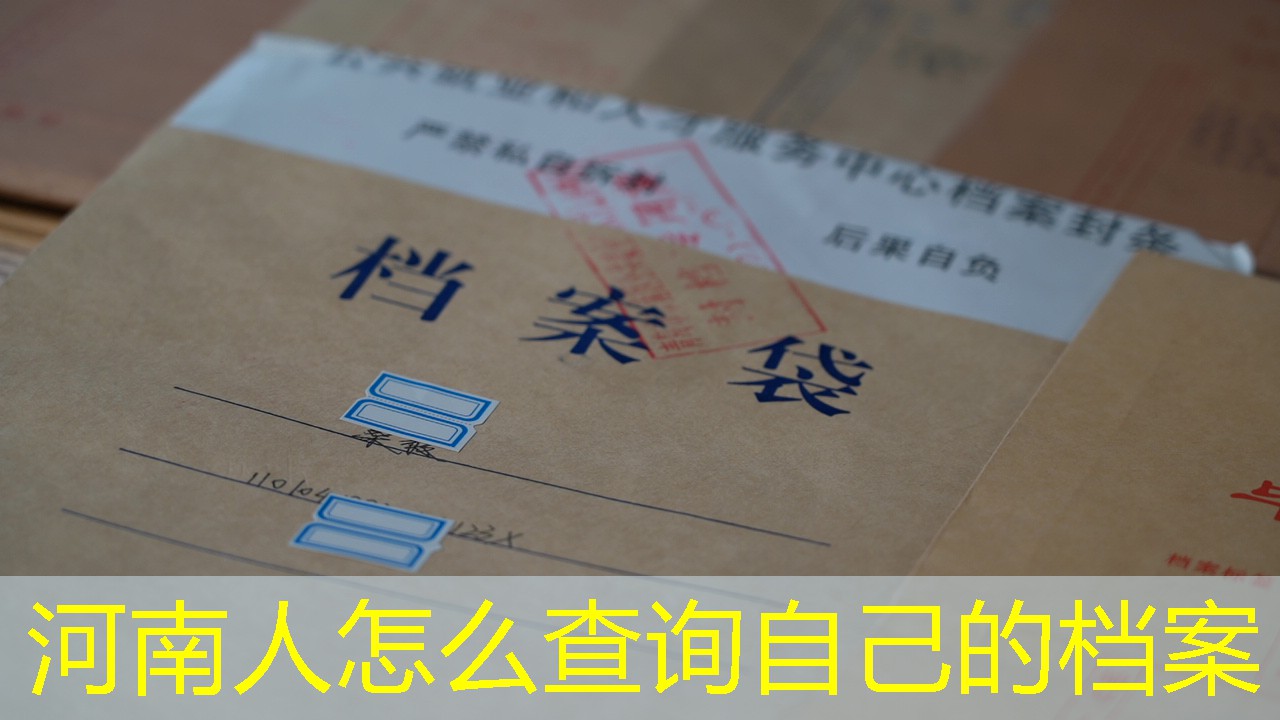 档案查询