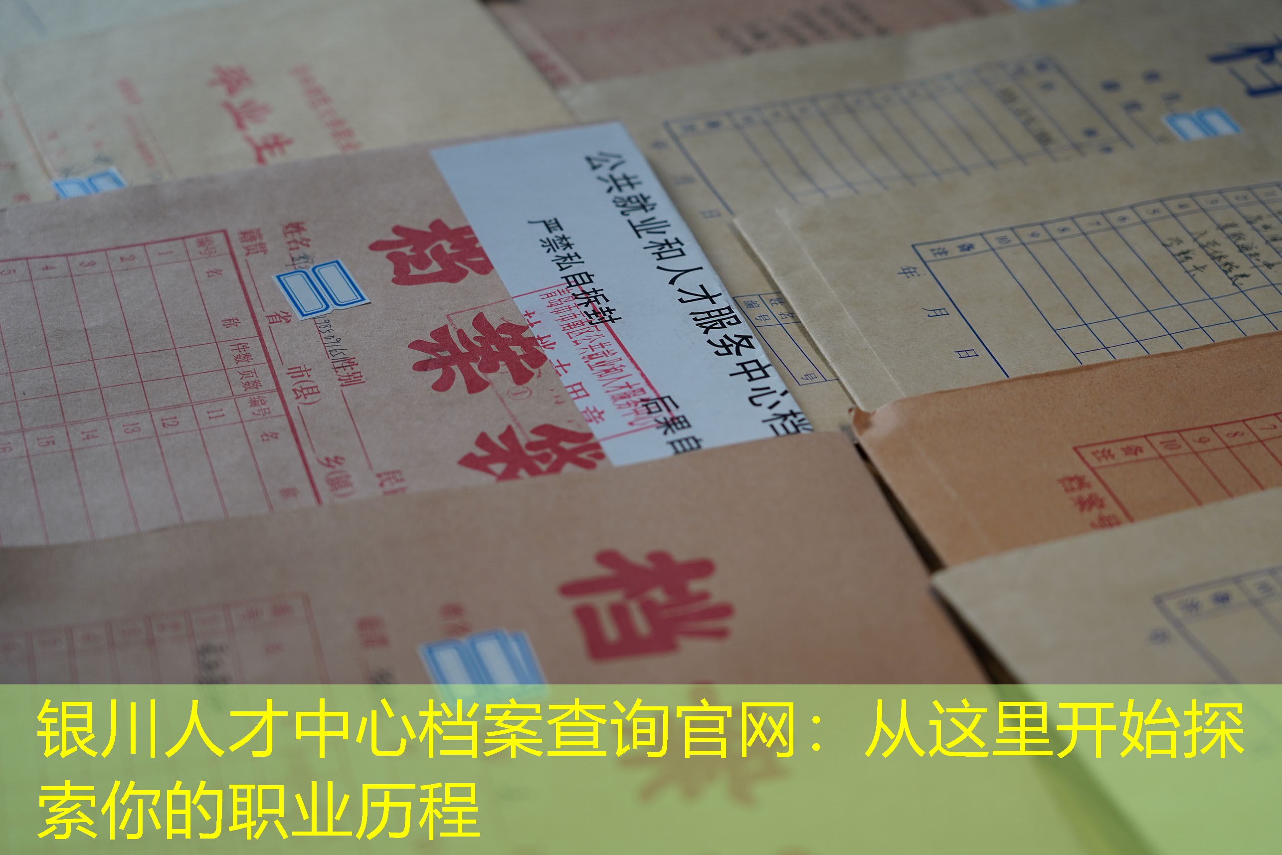 档案查询