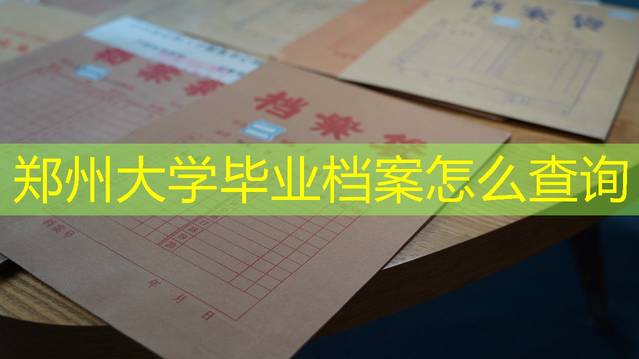 档案查询
