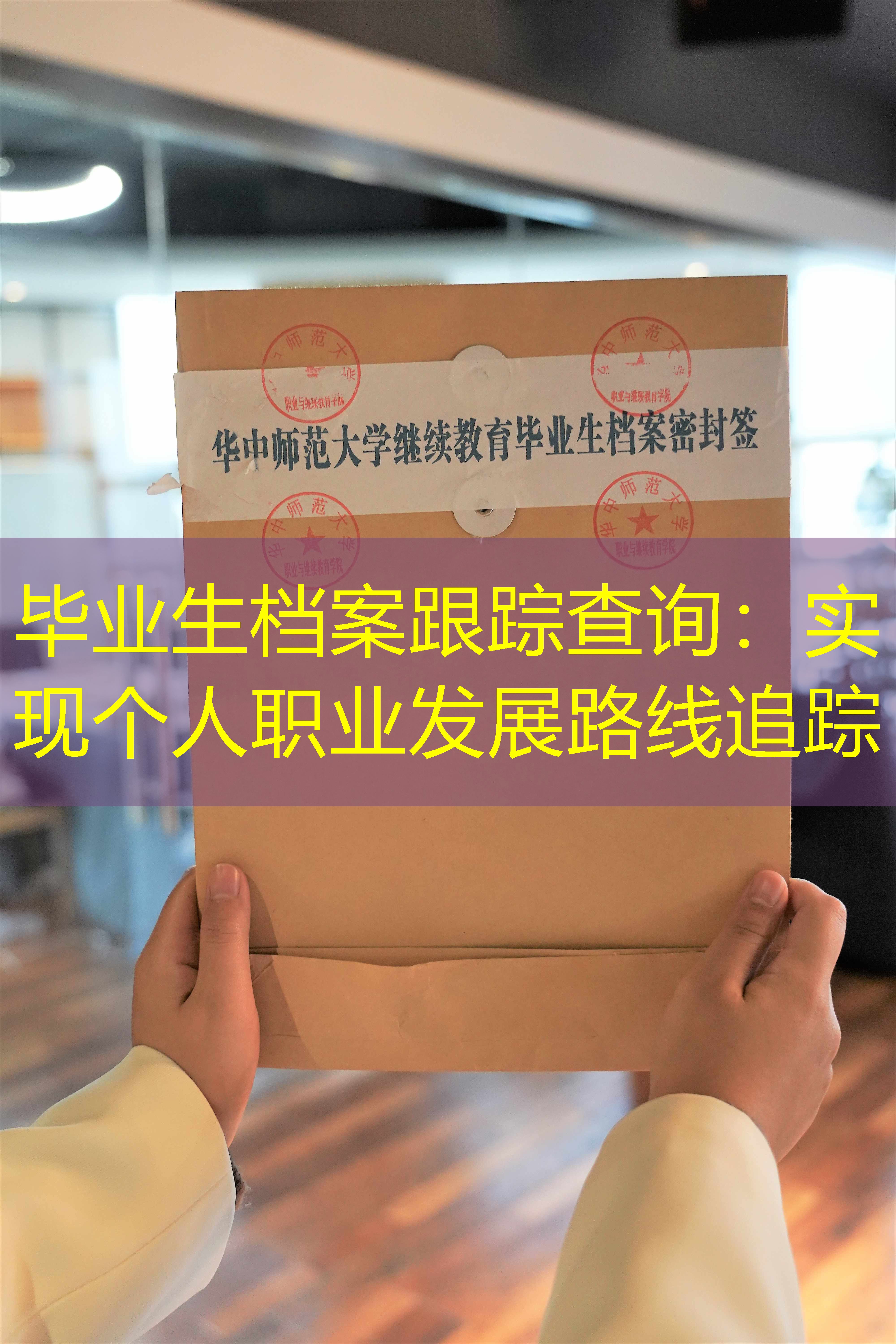 档案查询