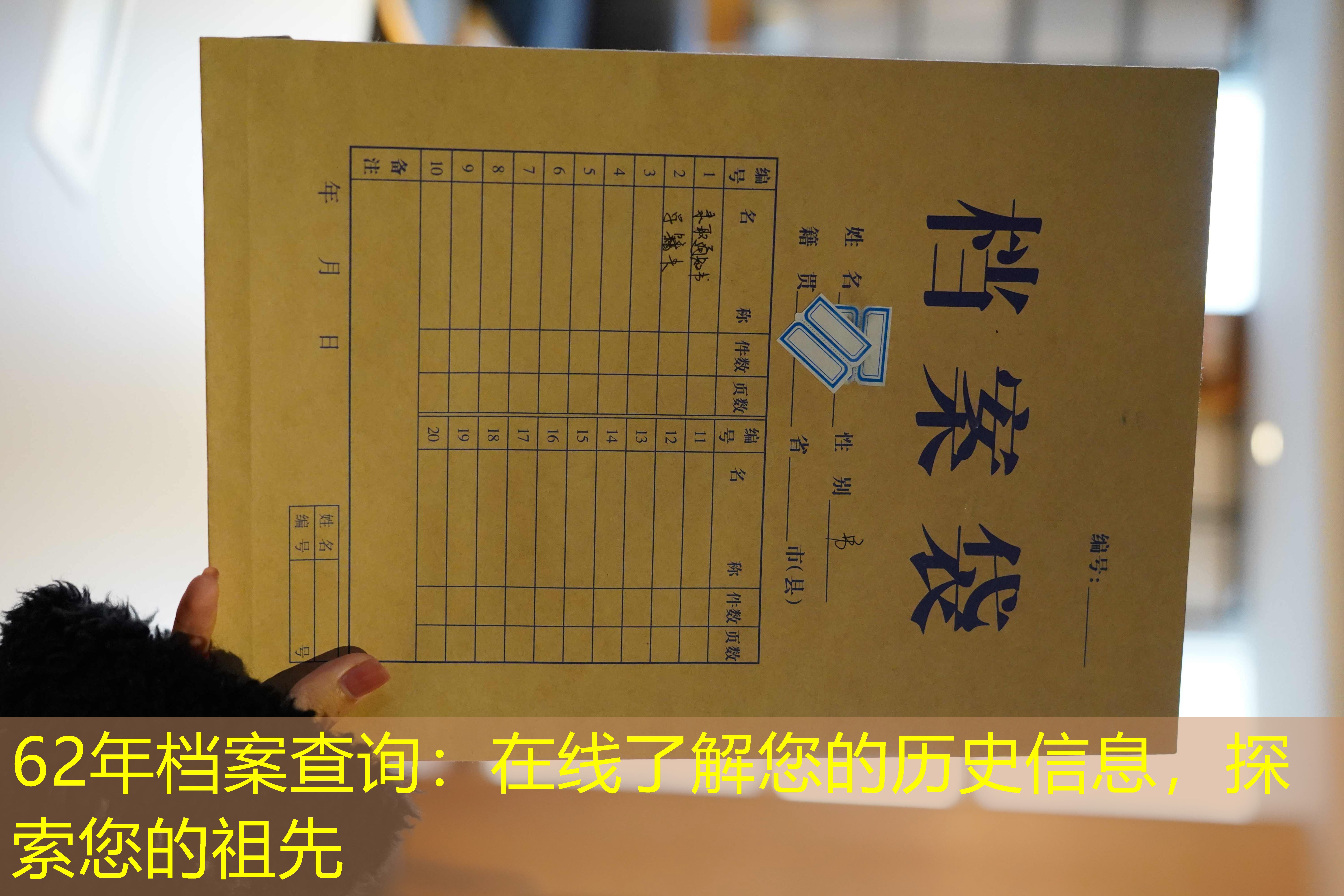 档案查询