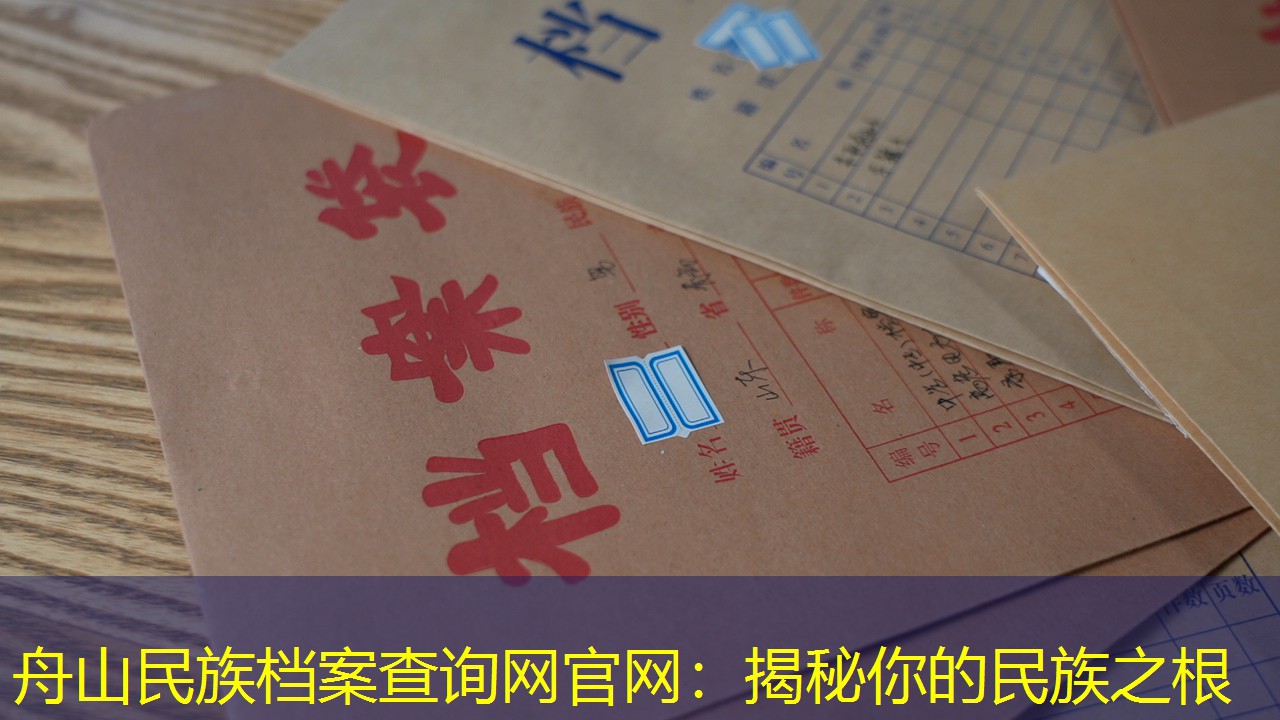 档案查询