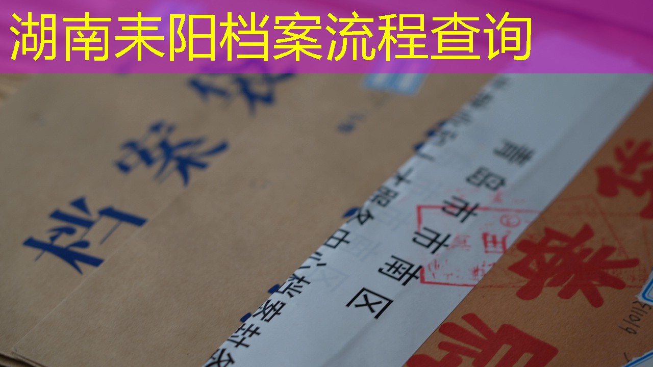 档案查询