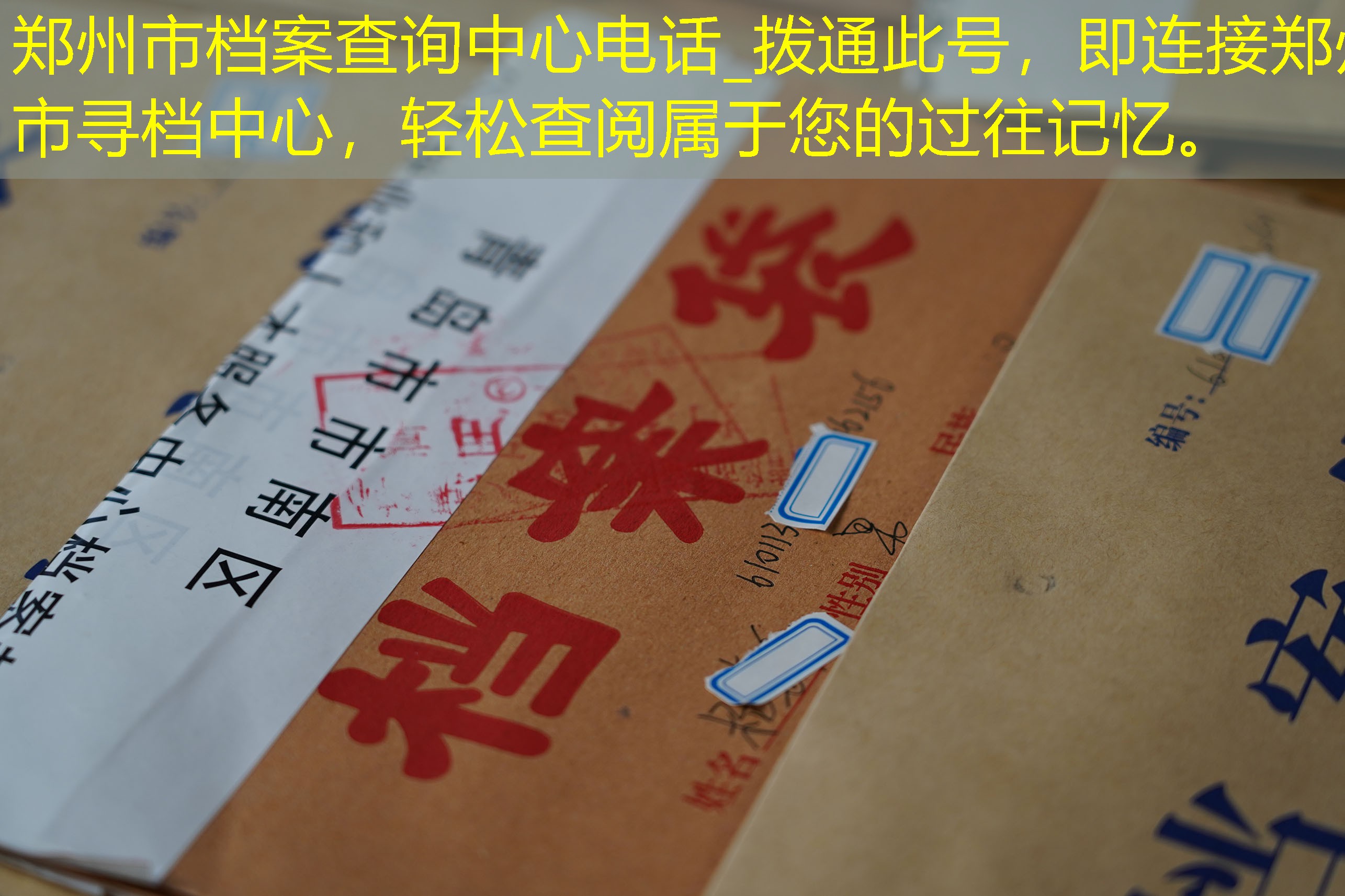 档案查询