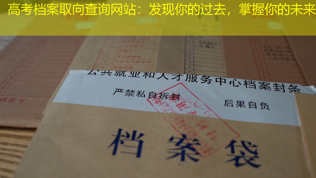 档案查询
