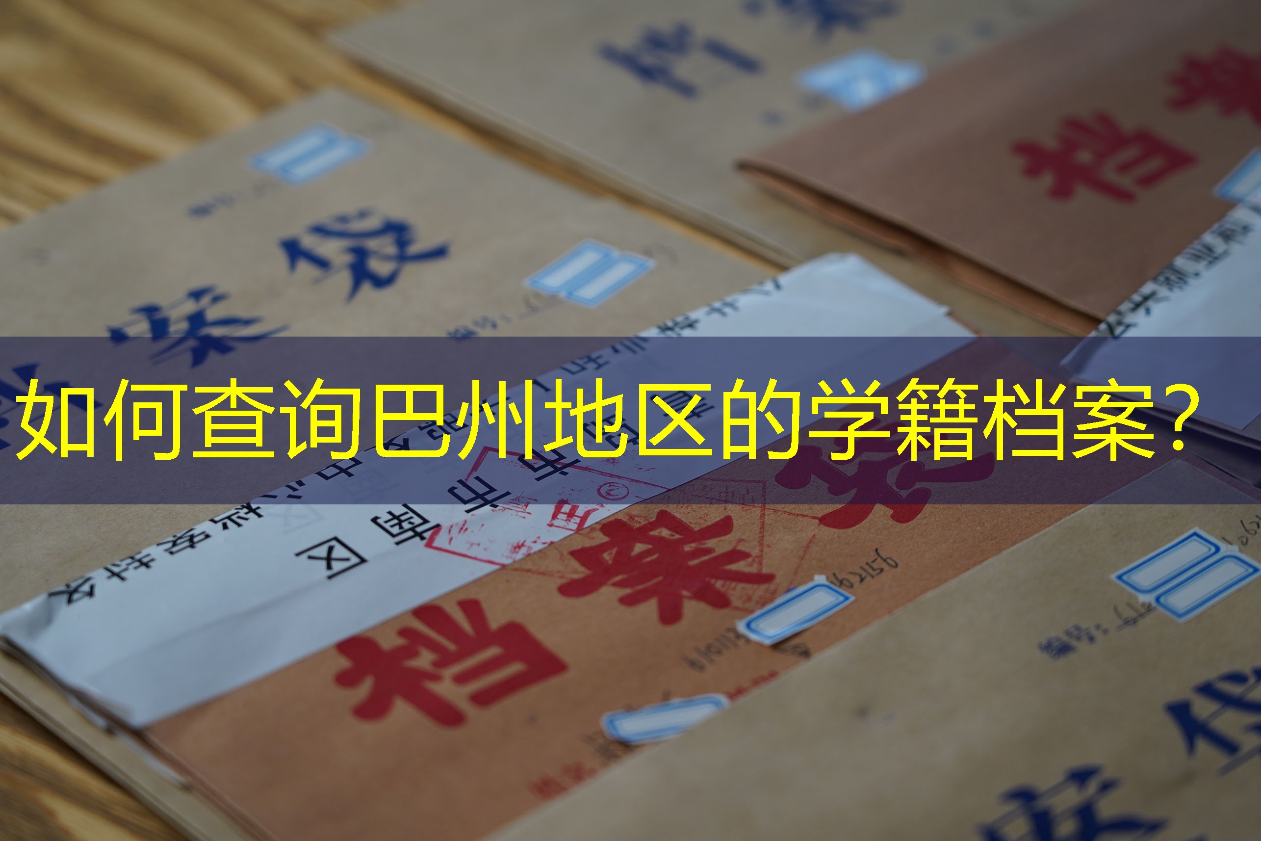 档案查询