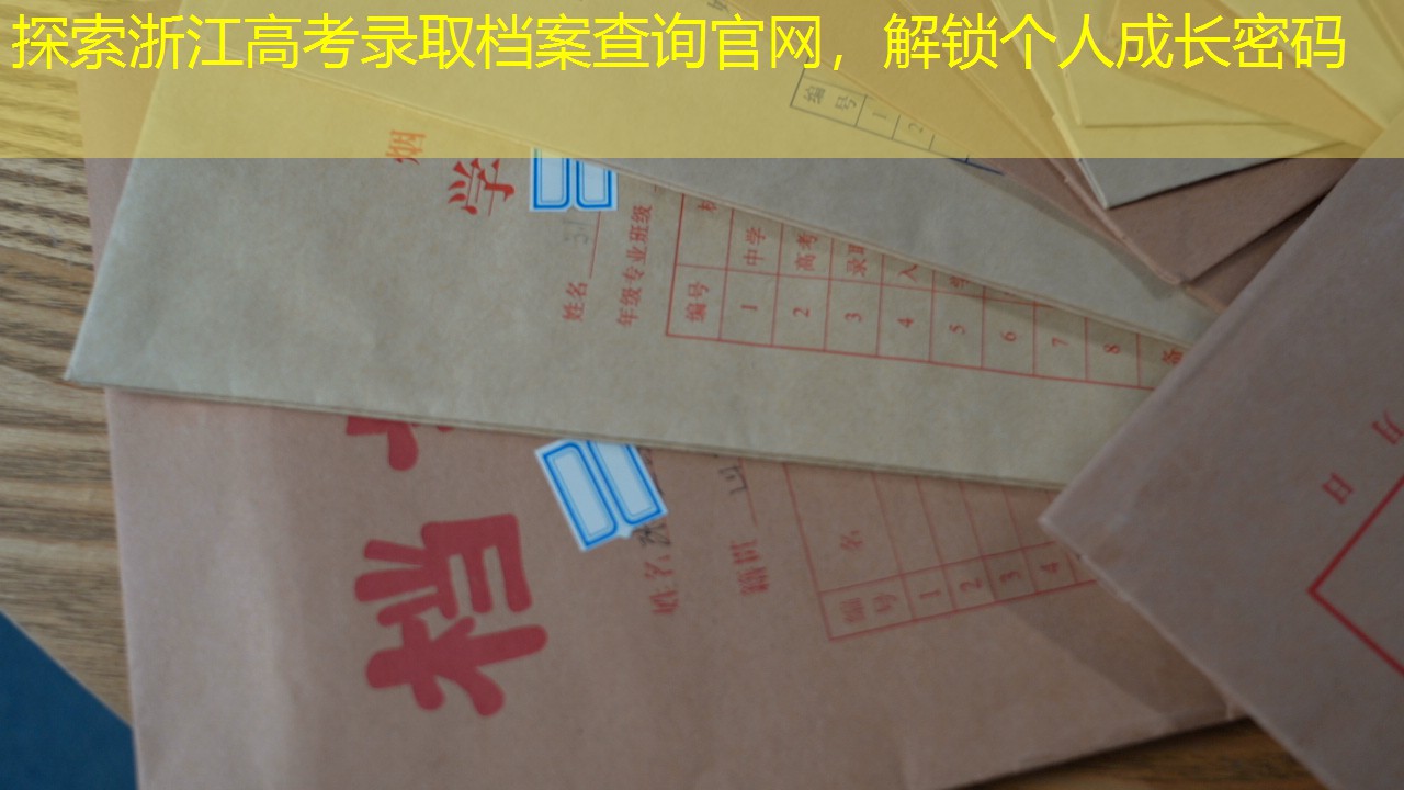 档案查询