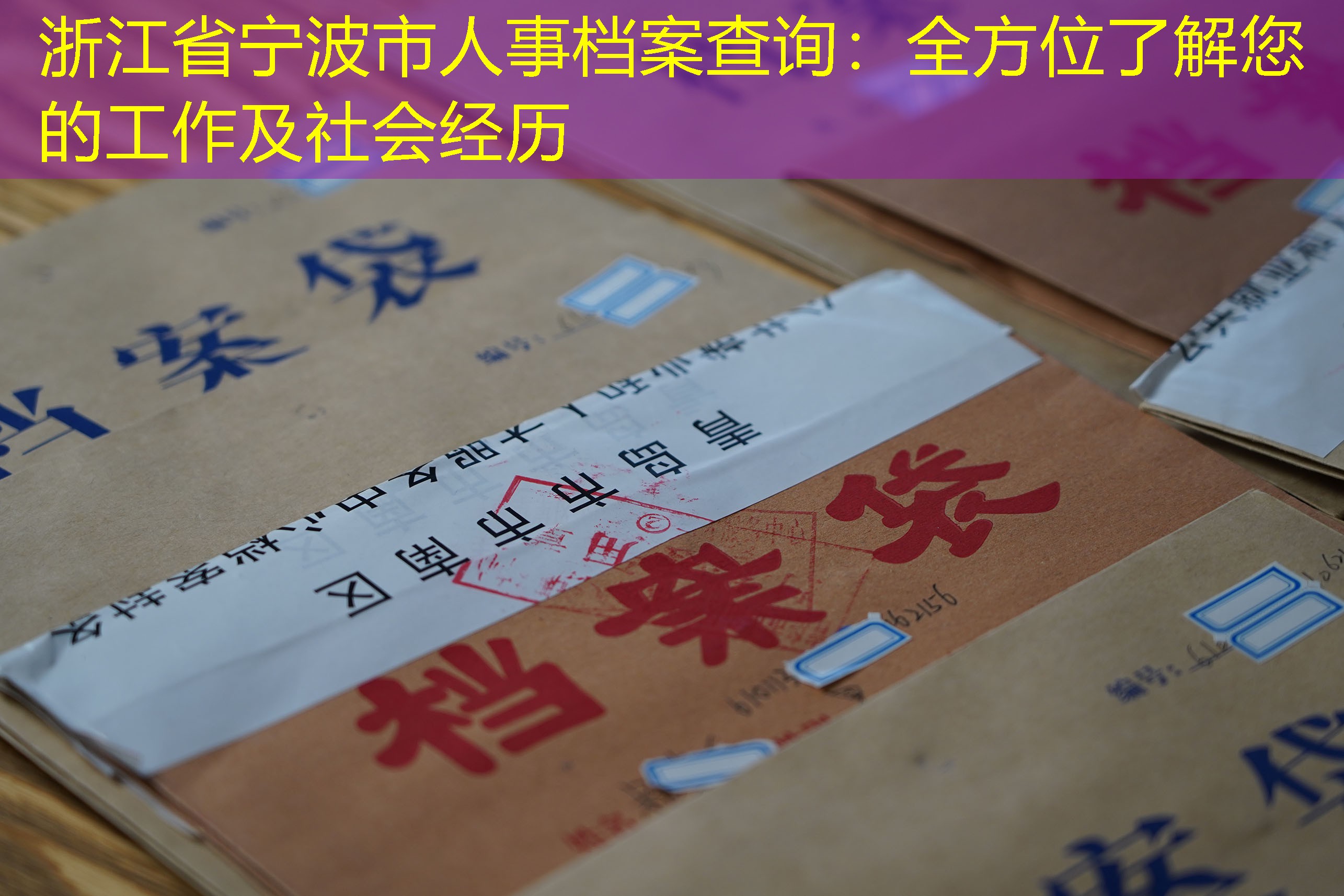 档案查询