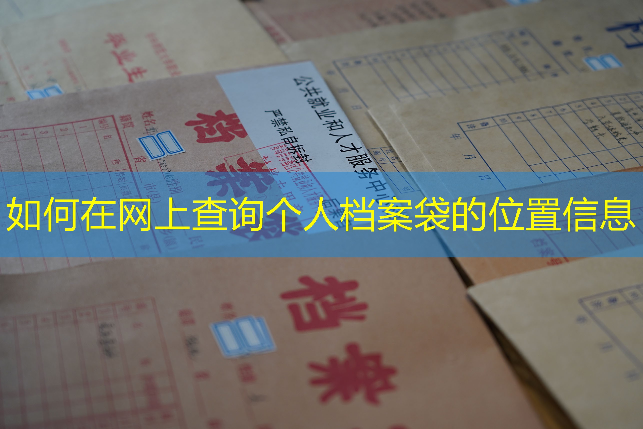 档案查询
