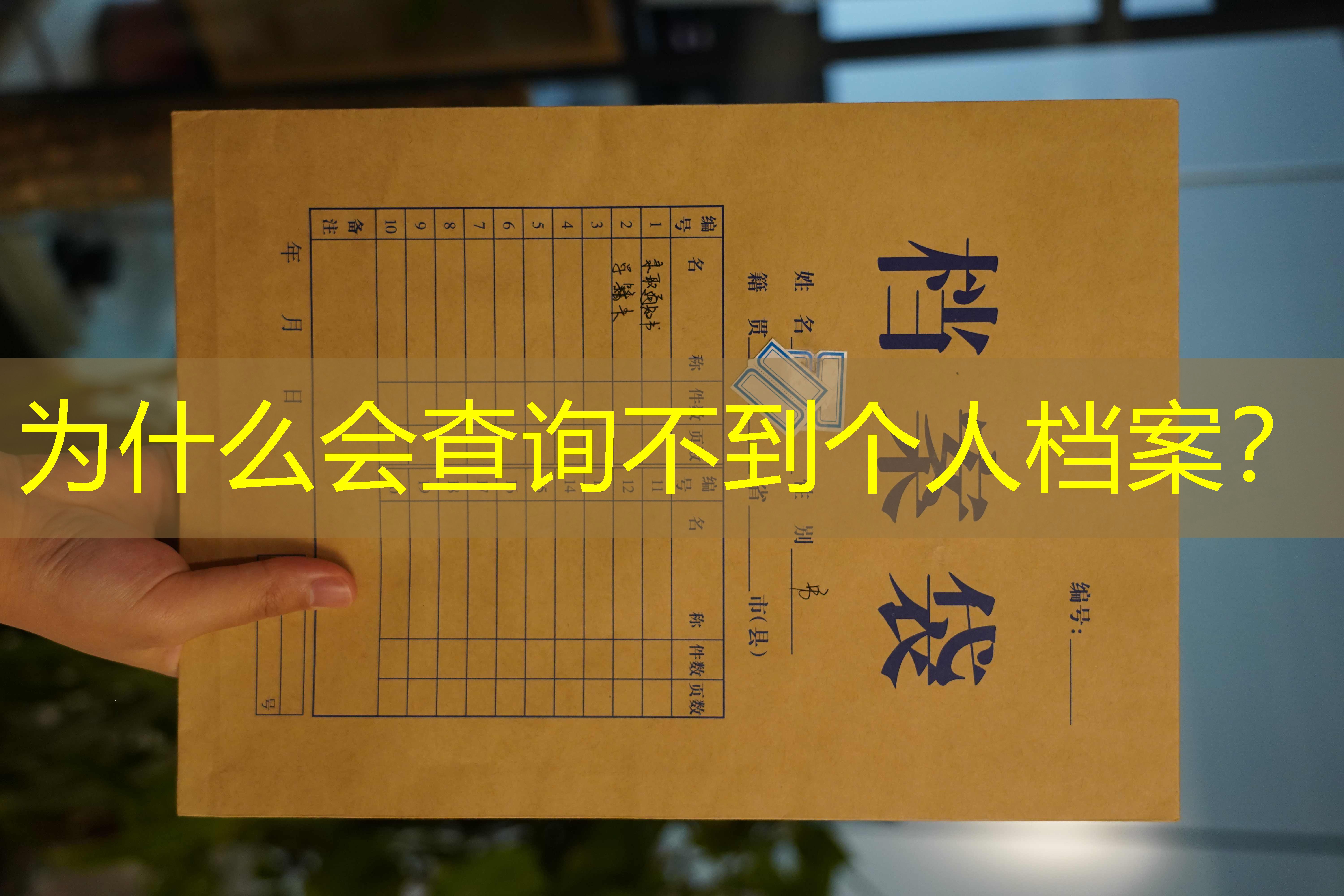 档案查询