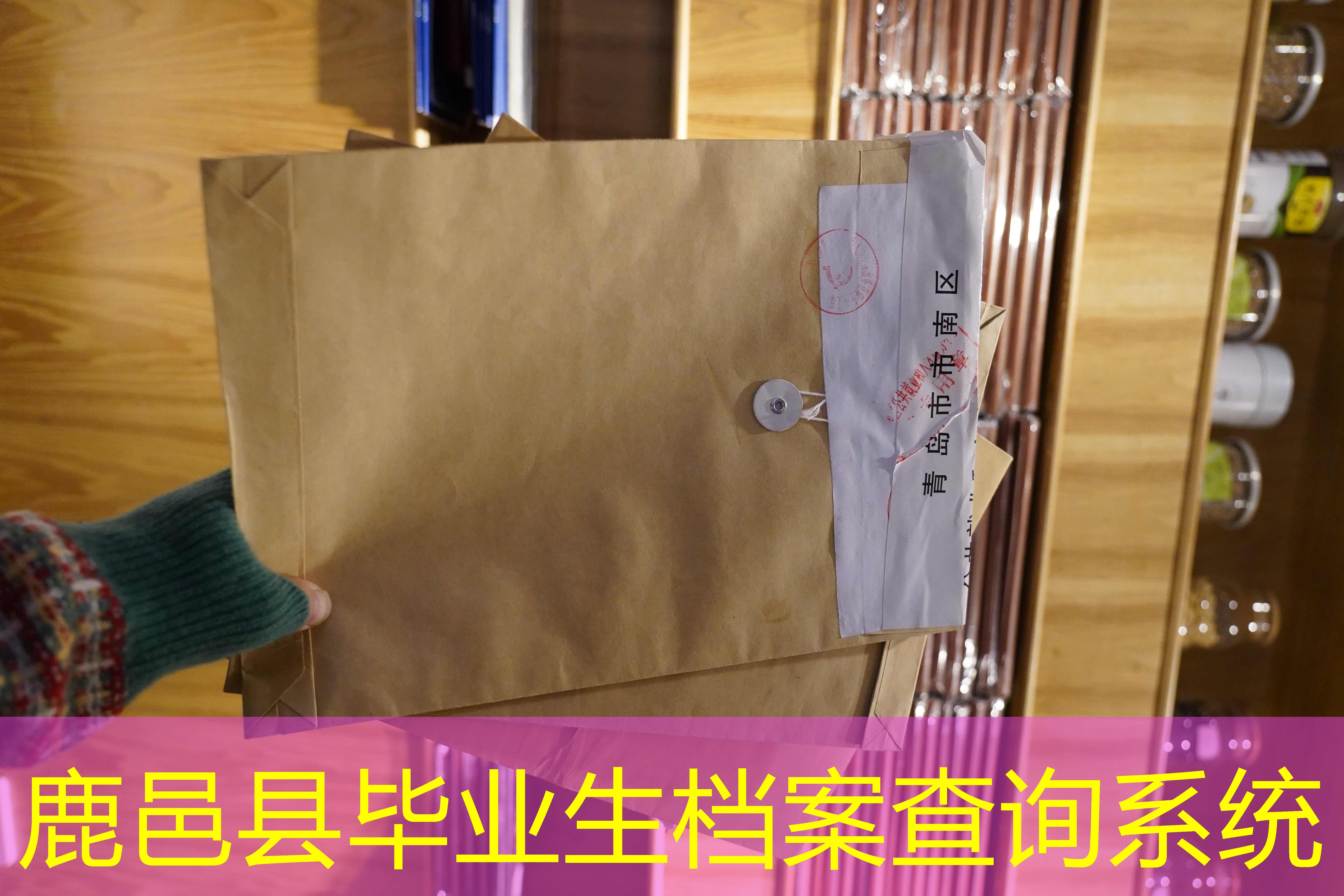 档案查询