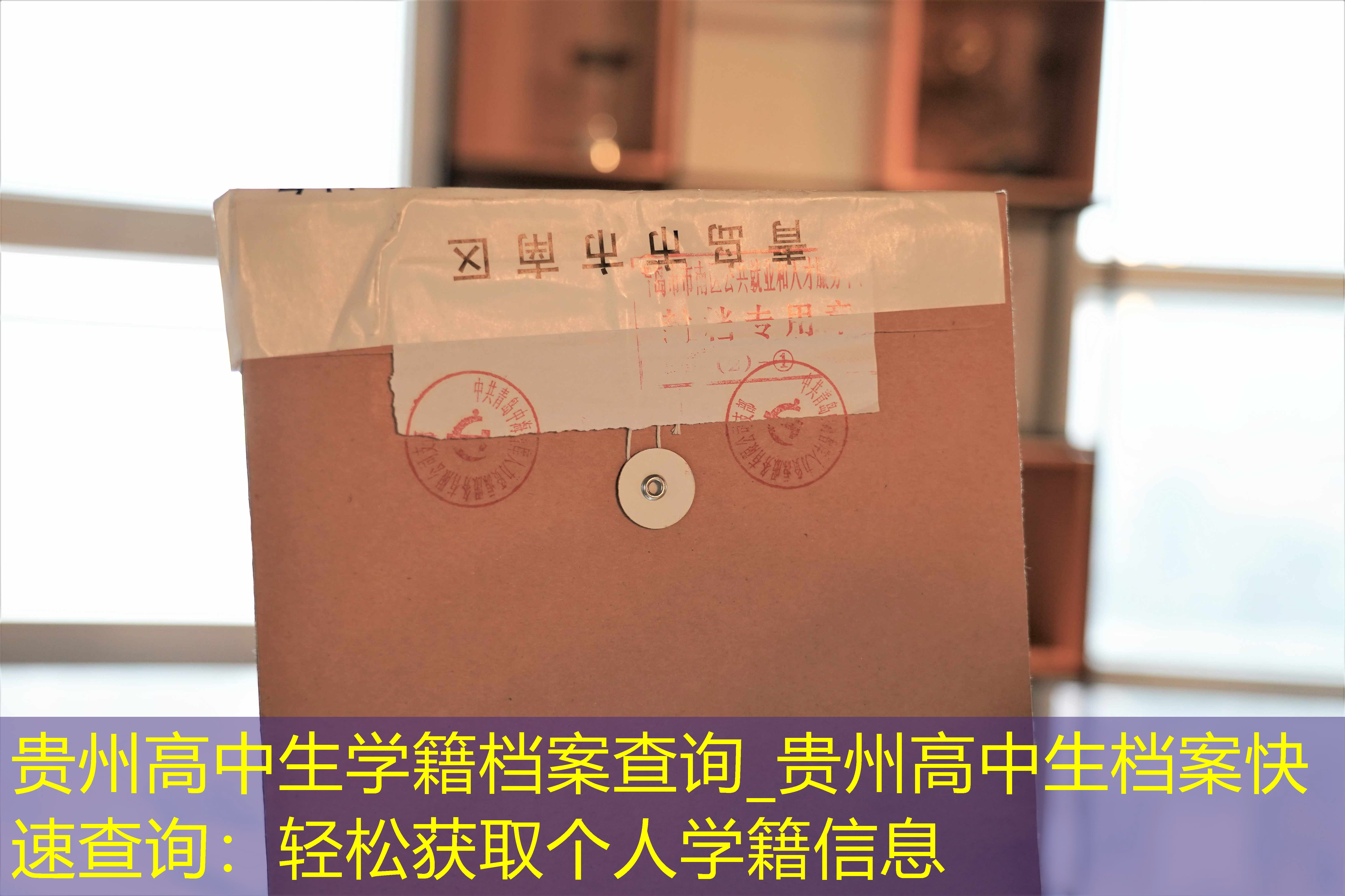 档案查询