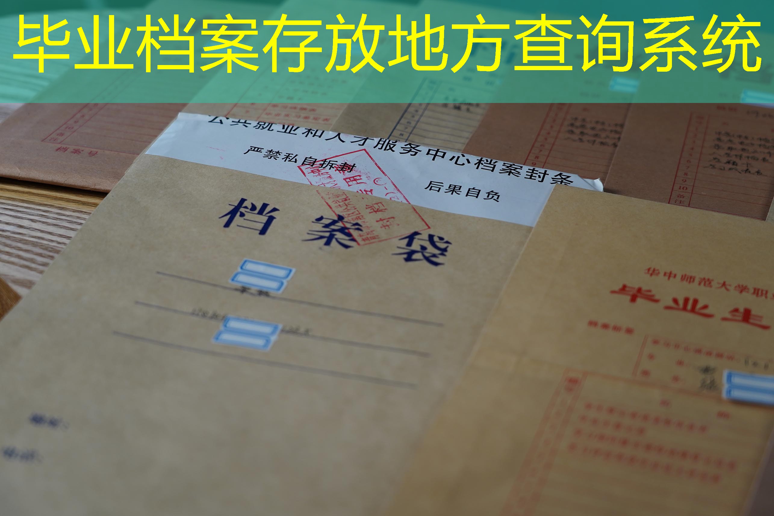 档案查询