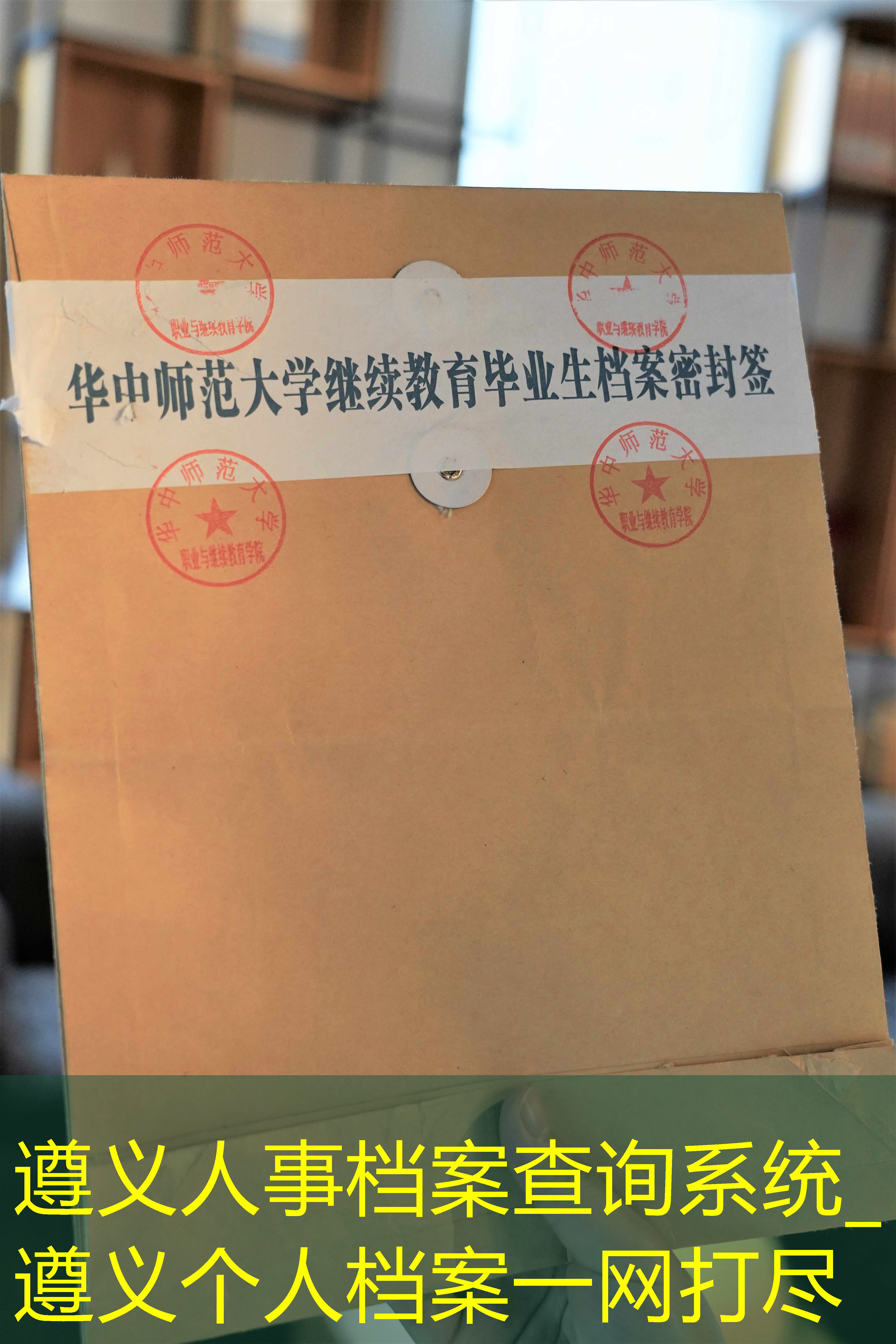 档案查询