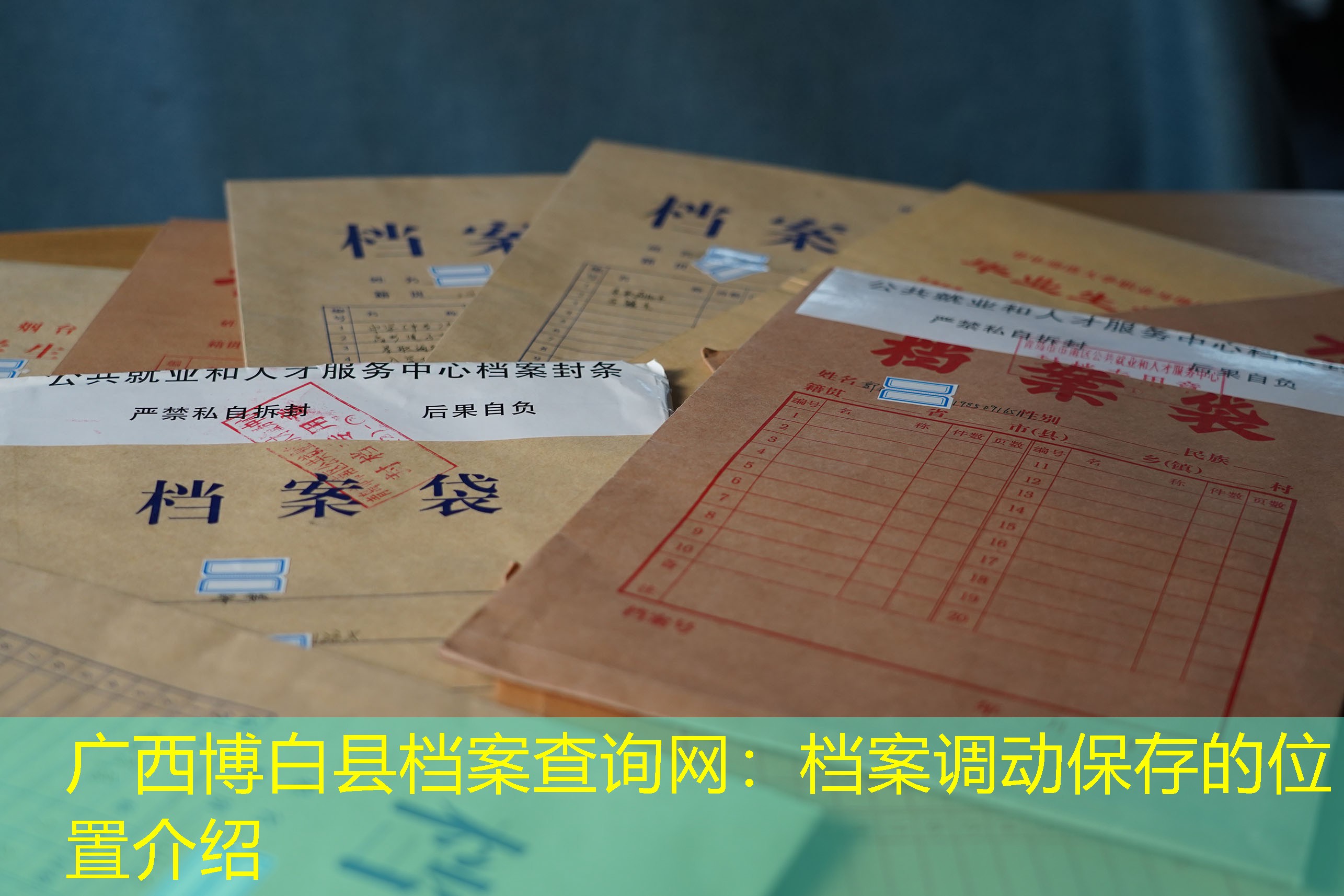 档案查询