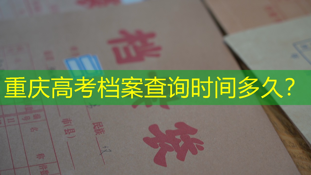 档案查询
