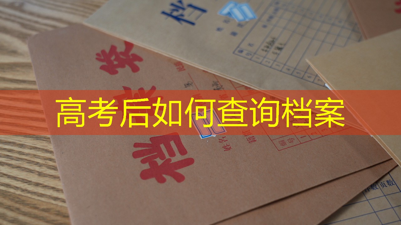 档案查询