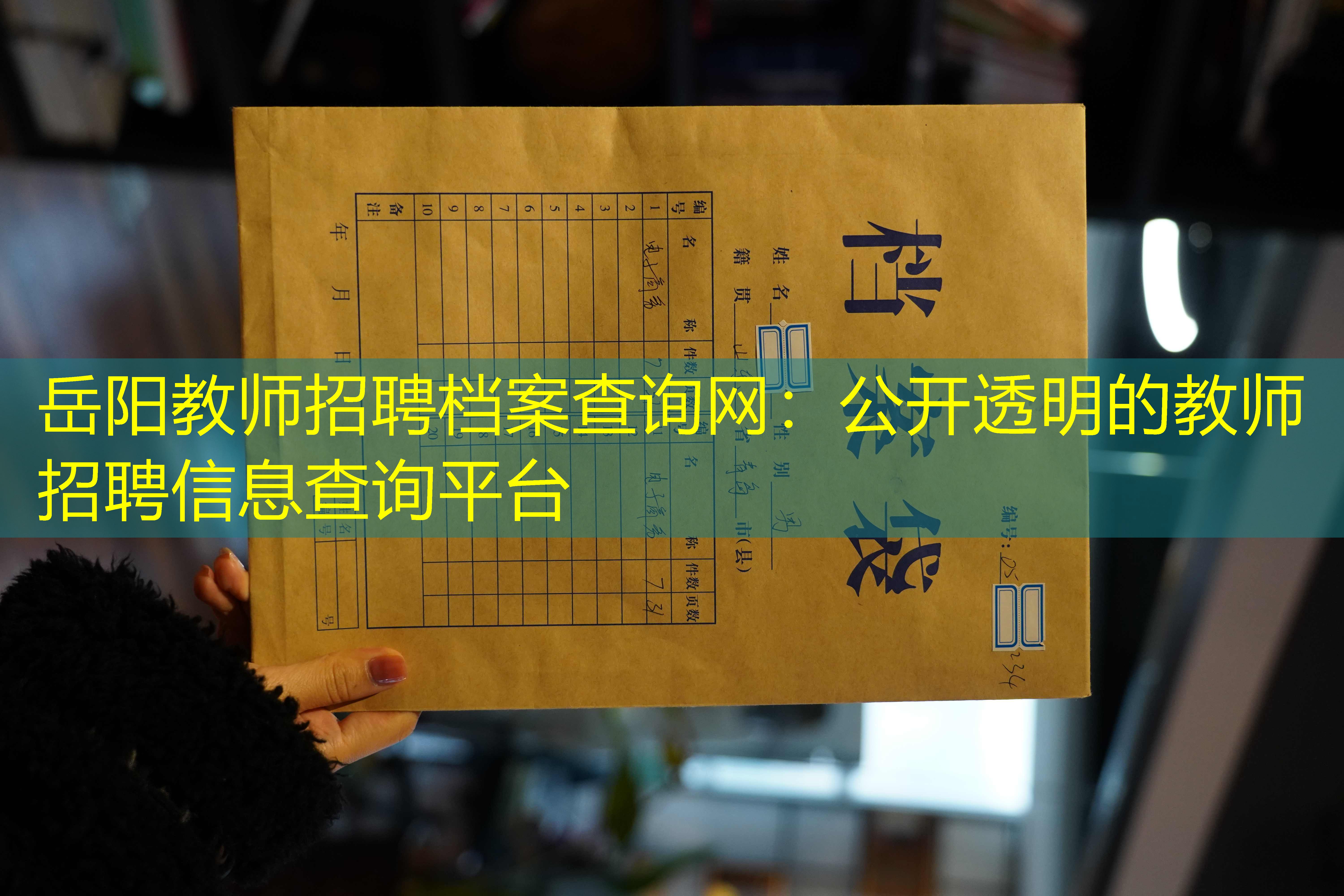 档案查询