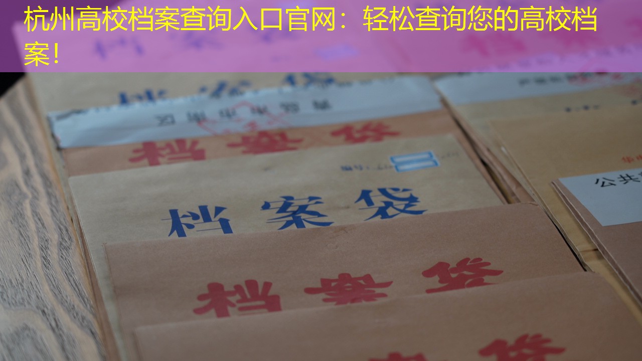 档案查询