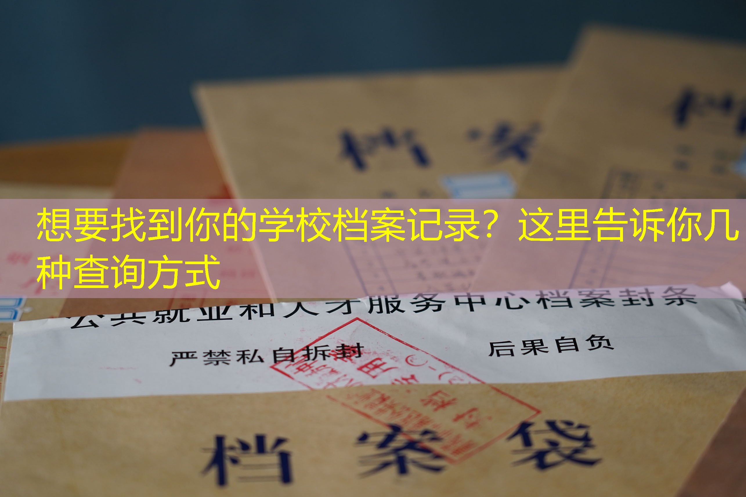 档案查询