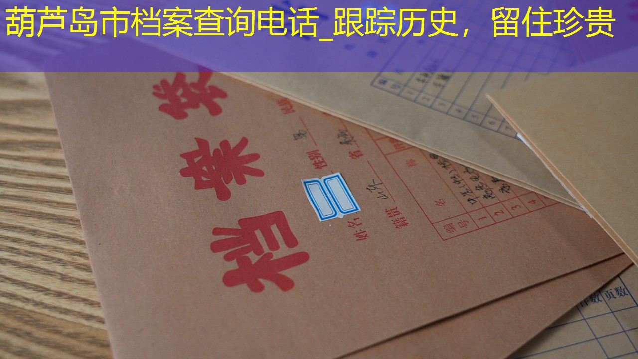 档案查询