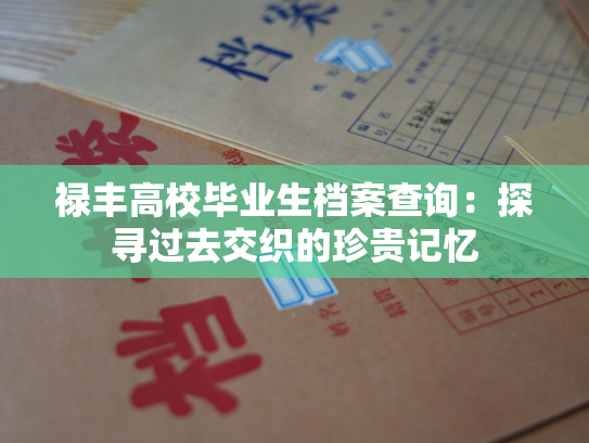 禄丰高校毕业生档案查询：探寻过去交织的珍贵记忆
