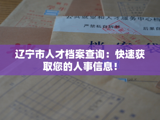辽宁市人才档案查询：快速获取您的人事信息！