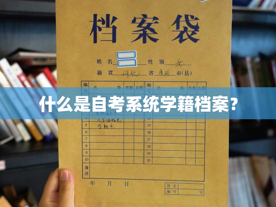 什么是自考系统学籍档案？