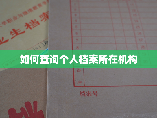 如何查询个人档案所在机构