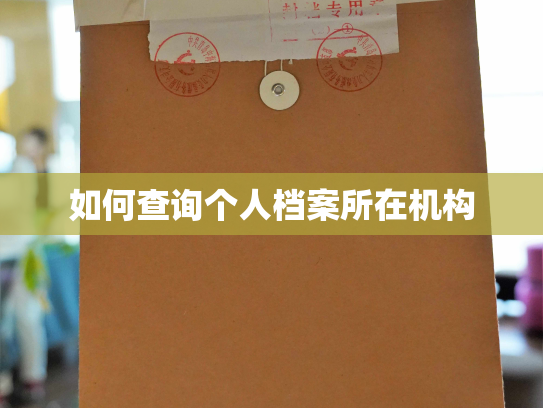 如何查询个人档案所在机构