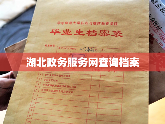 湖北政务服务网查询档案