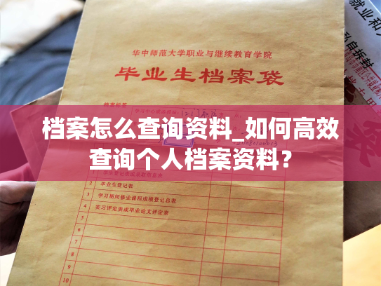 档案怎么查询资料_如何高效查询个人档案资料？