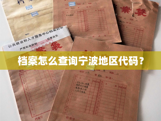 档案怎么查询宁波地区代码？